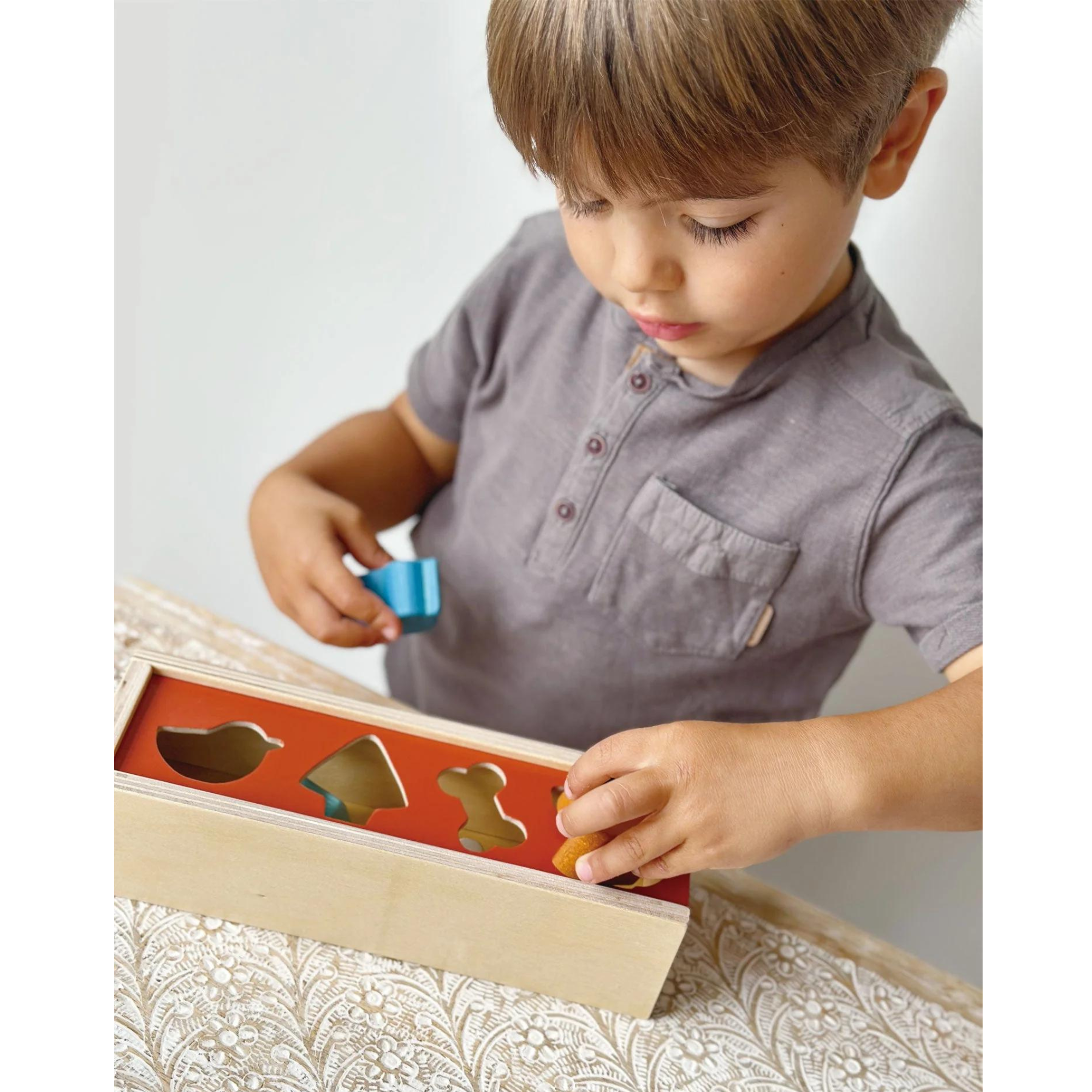 Boîte de tri de formes d'animaux de compagnie MENTARI