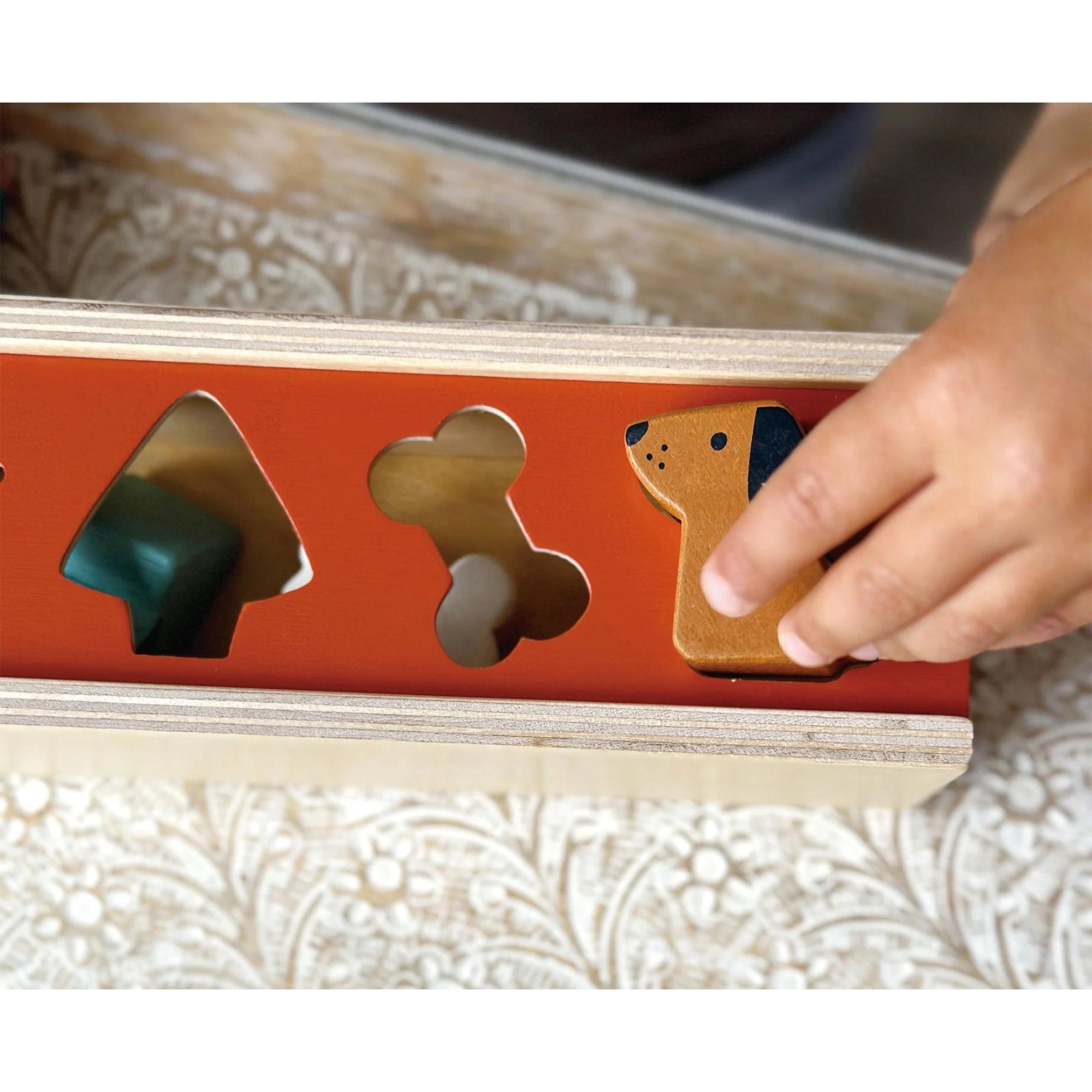 Boîte de tri de formes d'animaux de compagnie MENTARI