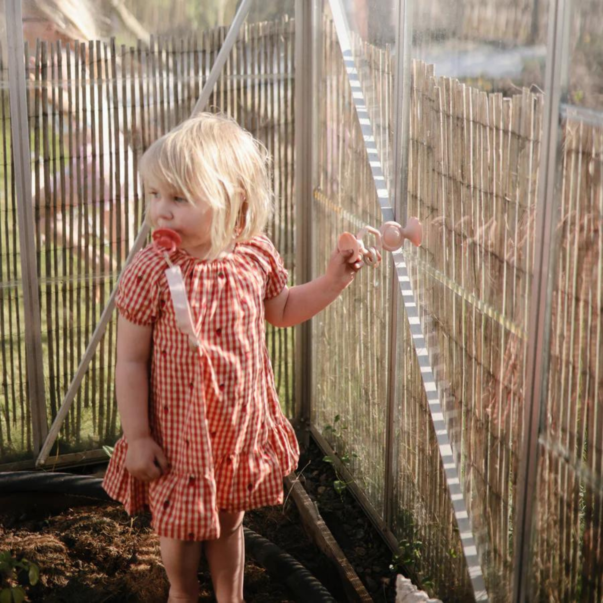 Jouet à ventouse MUSHIE HexaPop