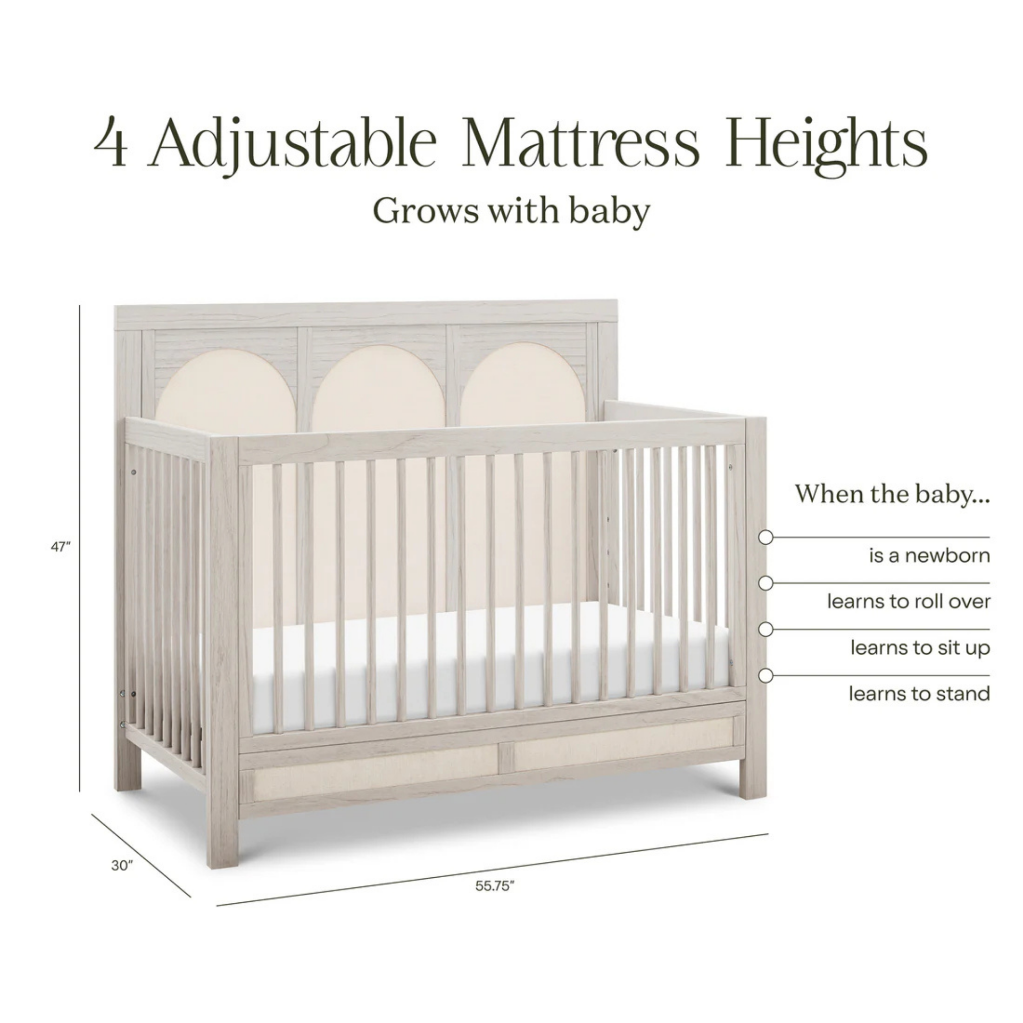 NAMESAKE Eloise 4-in-1 Convertible Crib