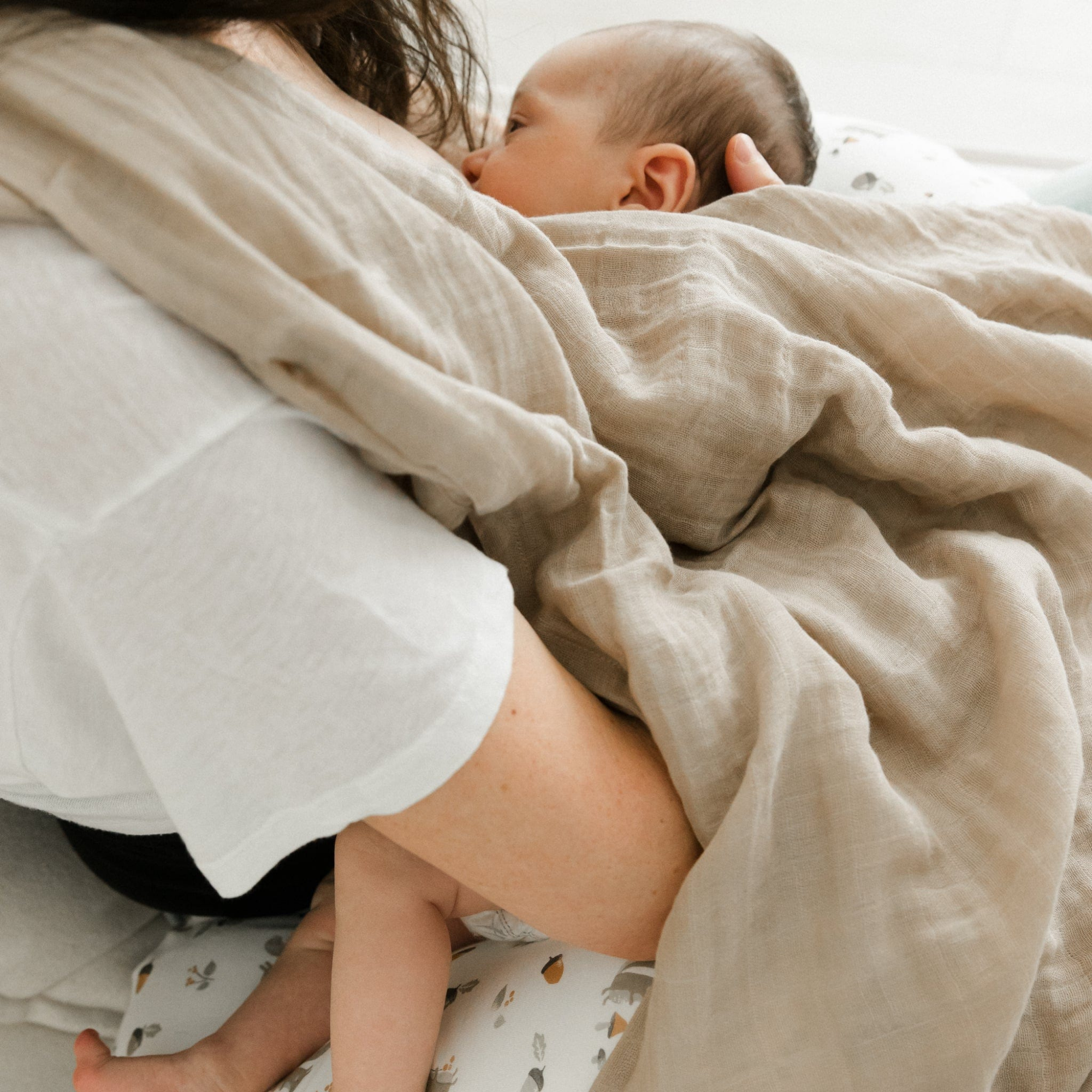 PERLIMPINPIN Nursing Pillow - Squirrel