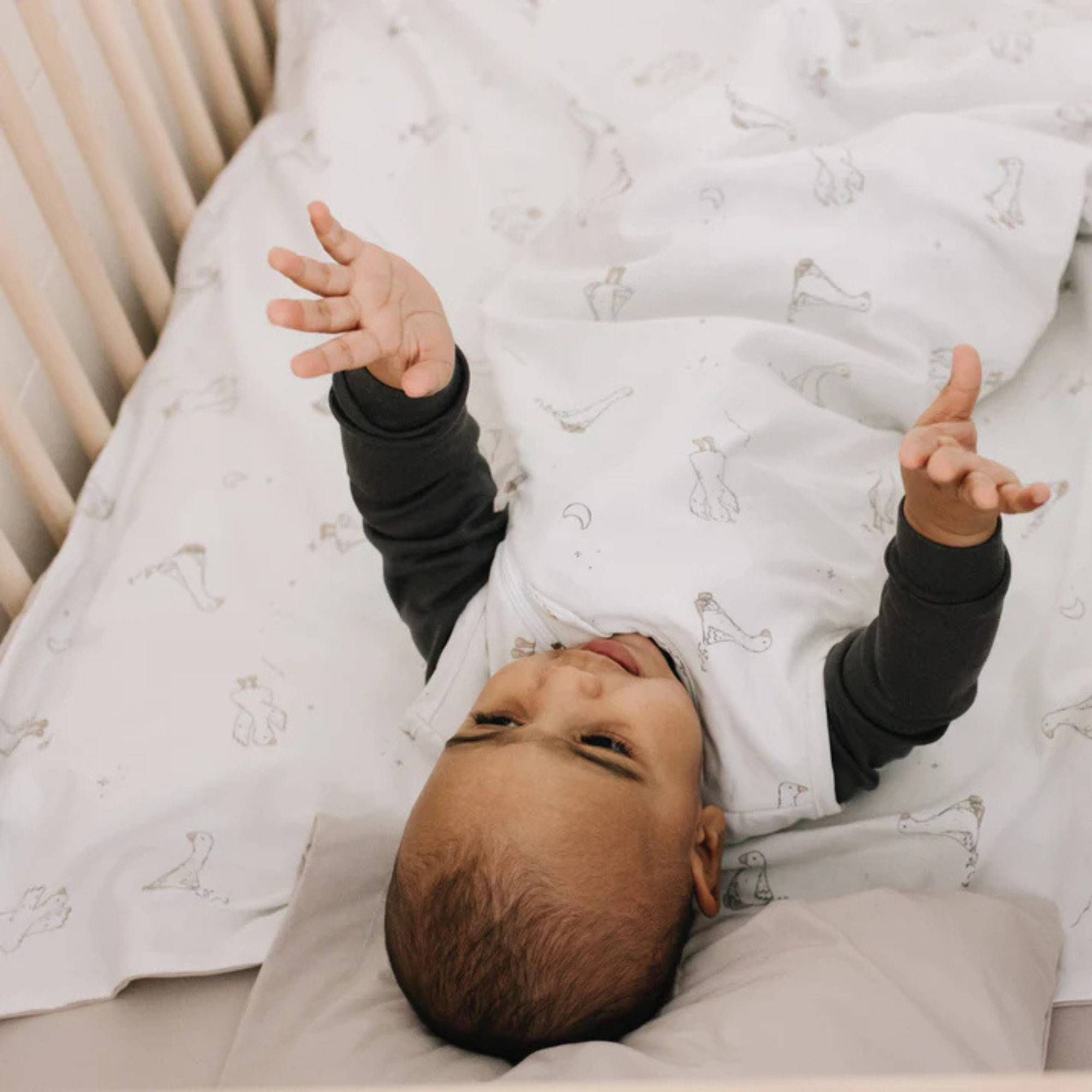 PERLIMPINPIN Woven Cotton Sleep Bag 2Tog - Goose