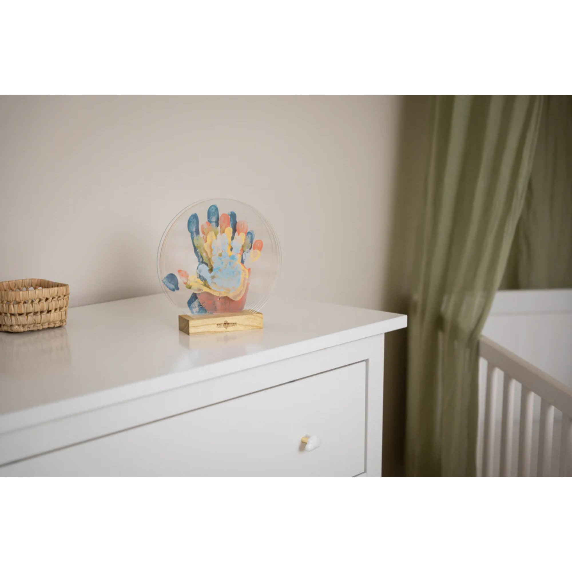 PETIT ARTICHAUT Couleurs de la famille