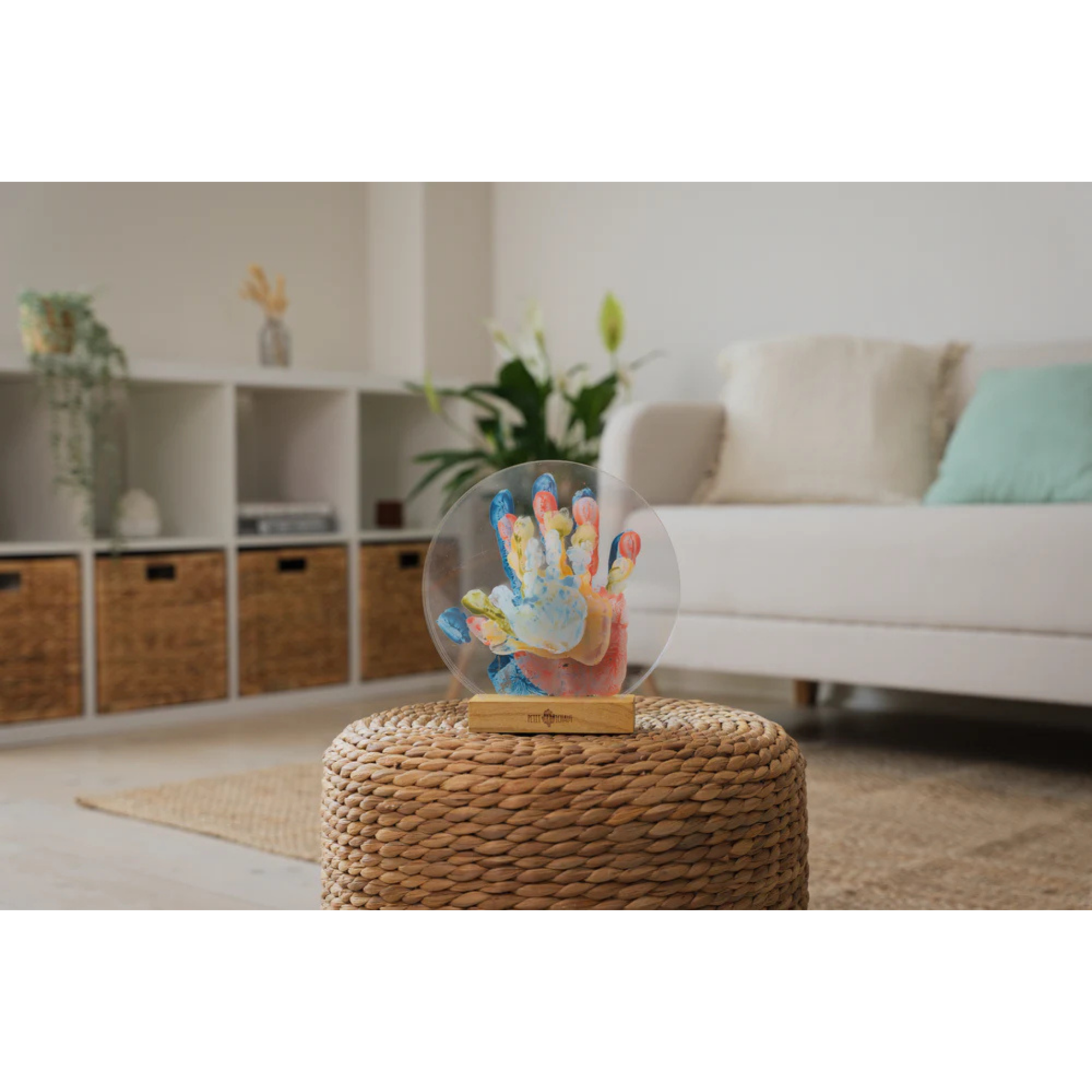 PETIT ARTICHAUT Couleurs de la famille