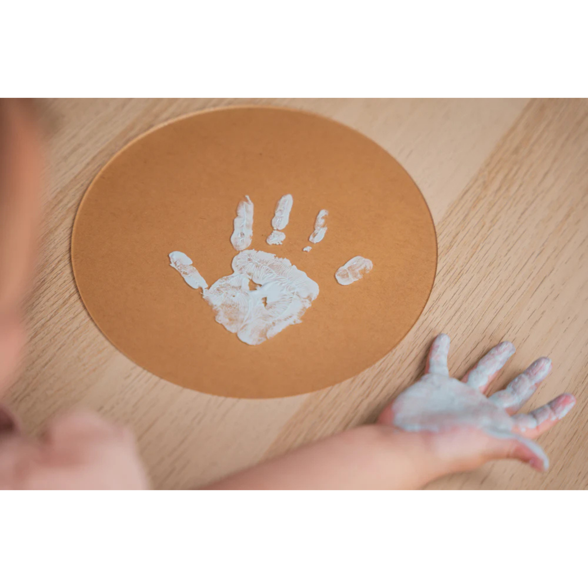 PETIT ARTICHAUT Couleurs de la famille