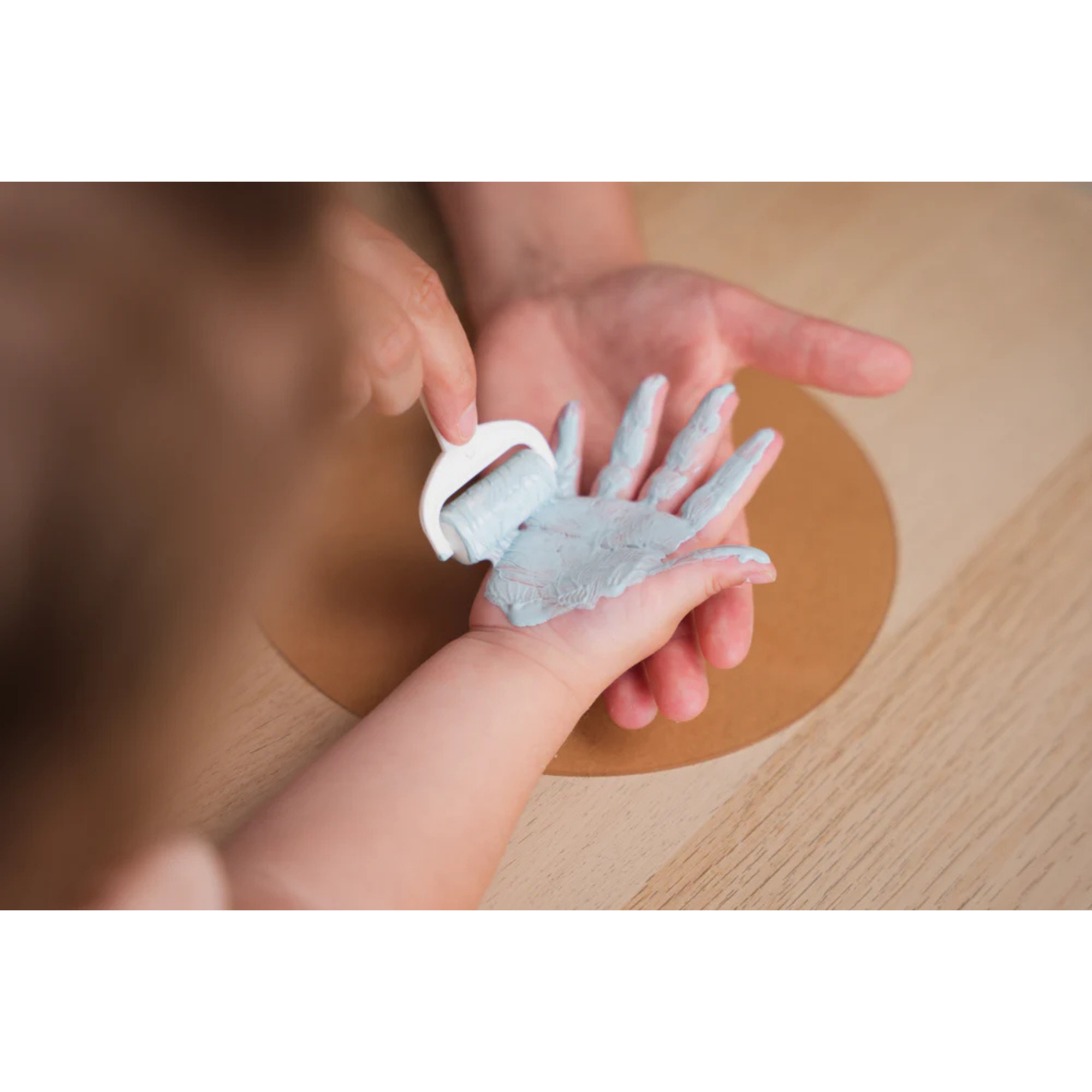 PETIT ARTICHAUT Couleurs de la famille