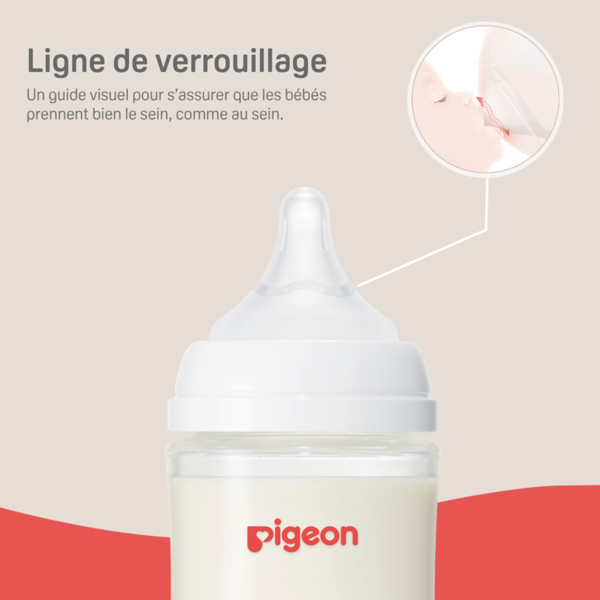 PIGEON Silicone Coated Bottle (2-Pack)
