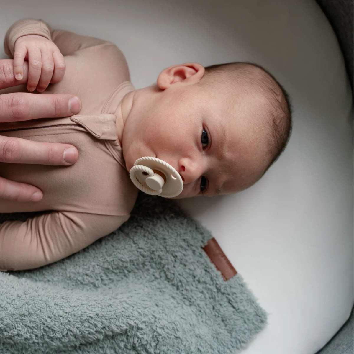 PIP + PHEE Bamboo Bassinet Sheet - Standard
