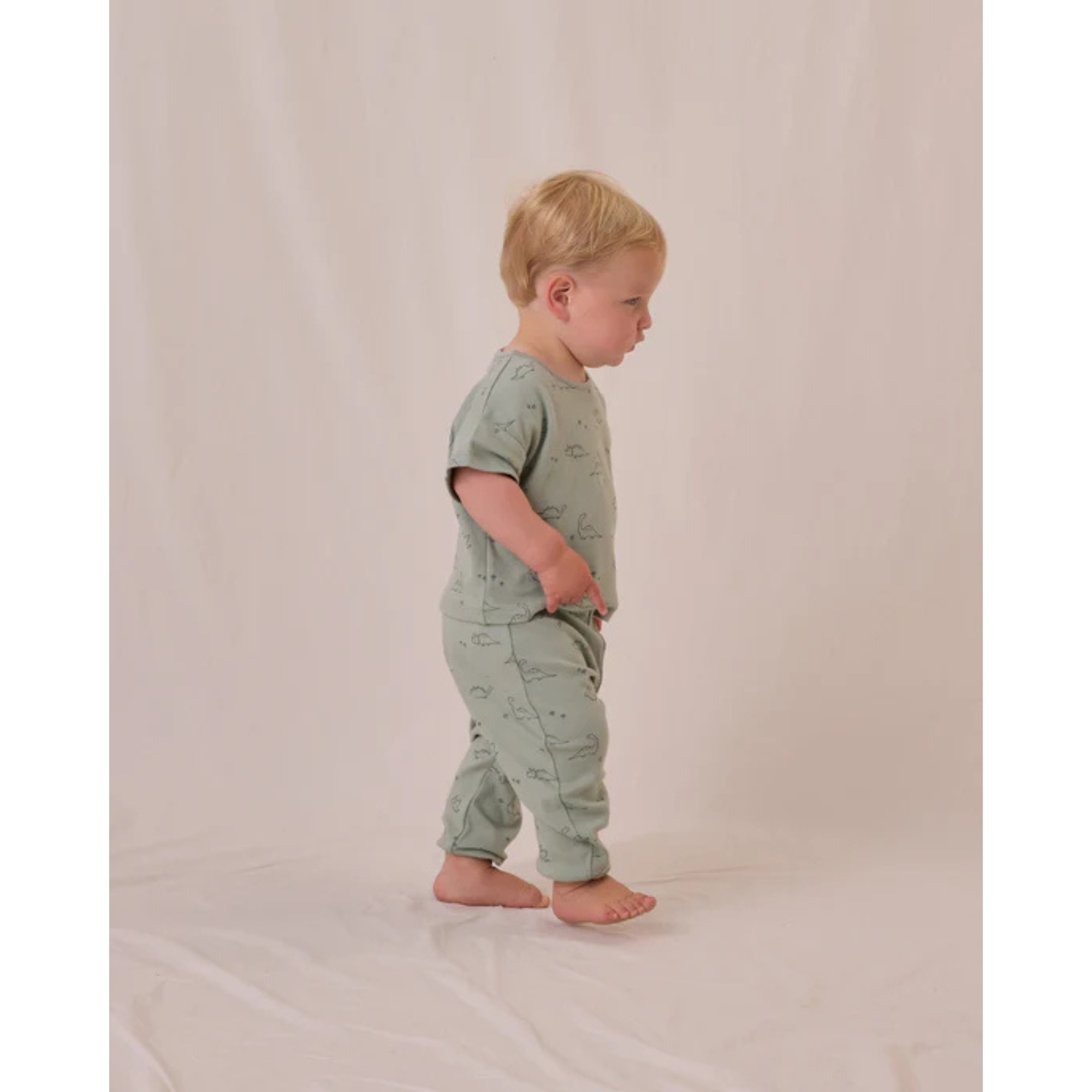 QUINCY MAE Jersey Tee + Pant Set - Dino