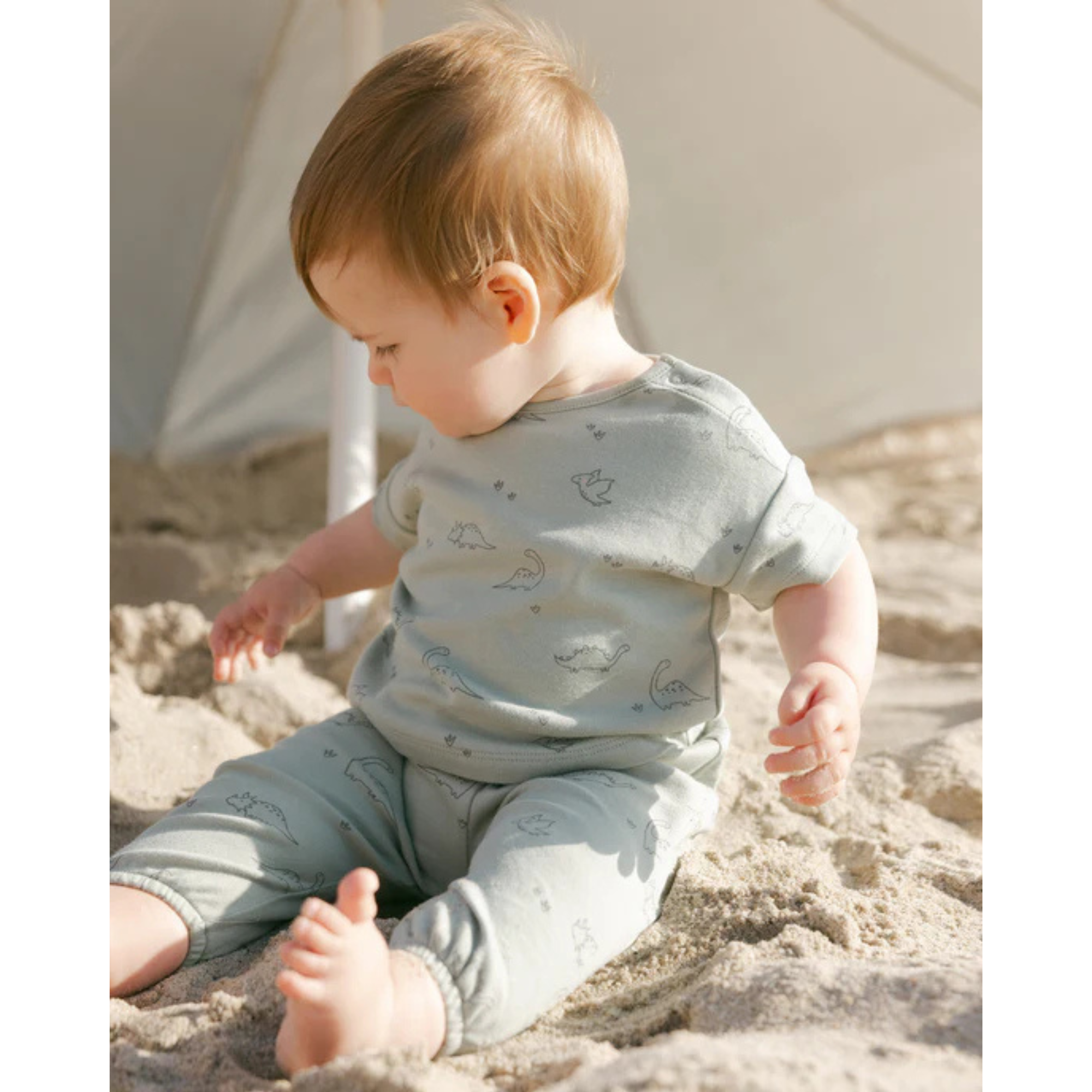 QUINCY MAE Jersey Tee + Pant Set - Dino