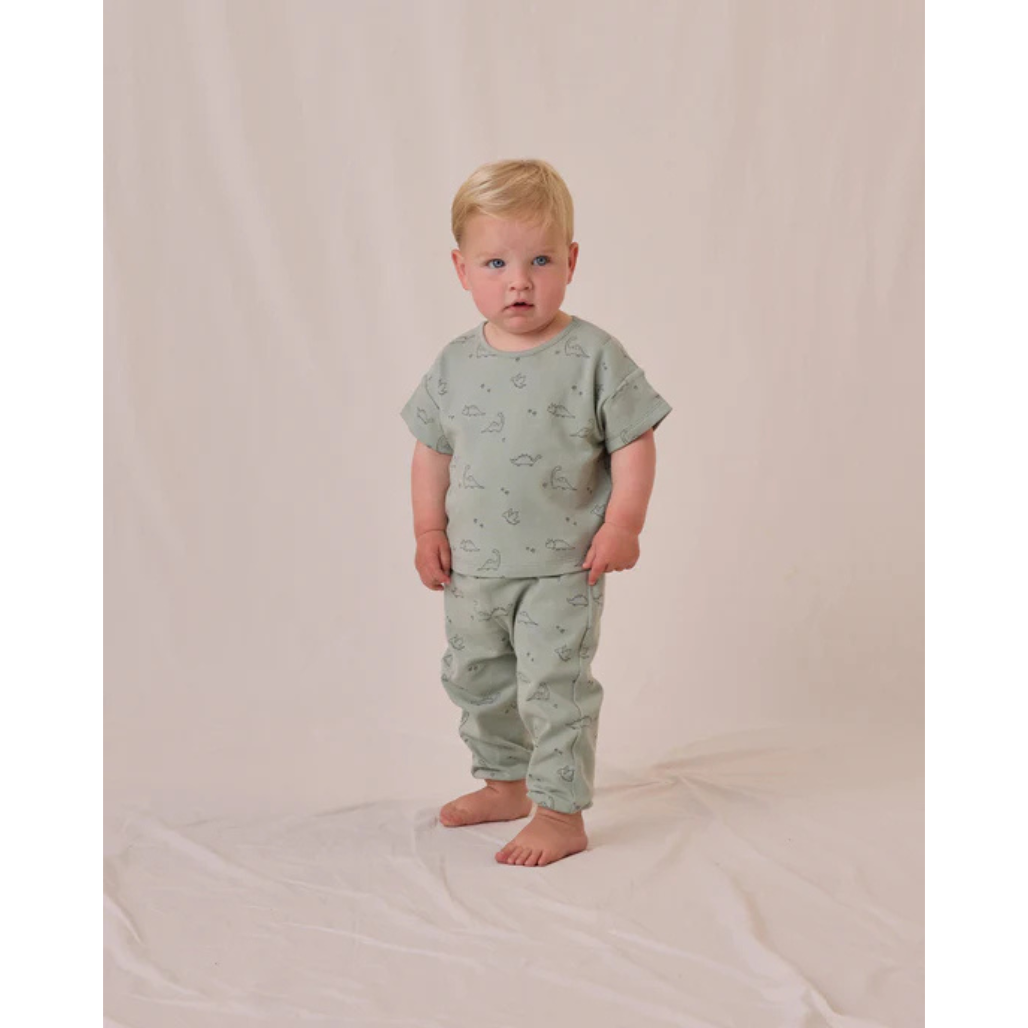 QUINCY MAE Jersey Tee + Pant Set - Dino