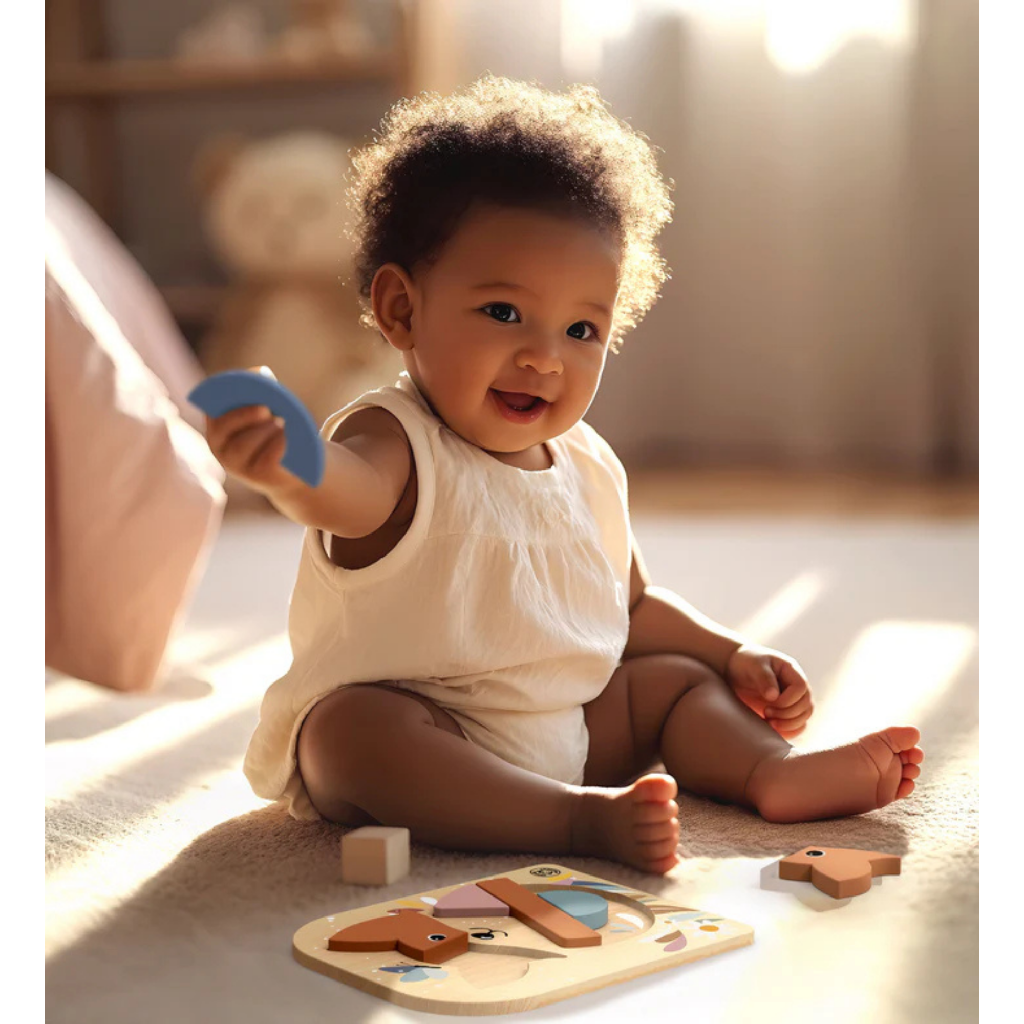 SINGE RAPIDE Puzzle du Renard