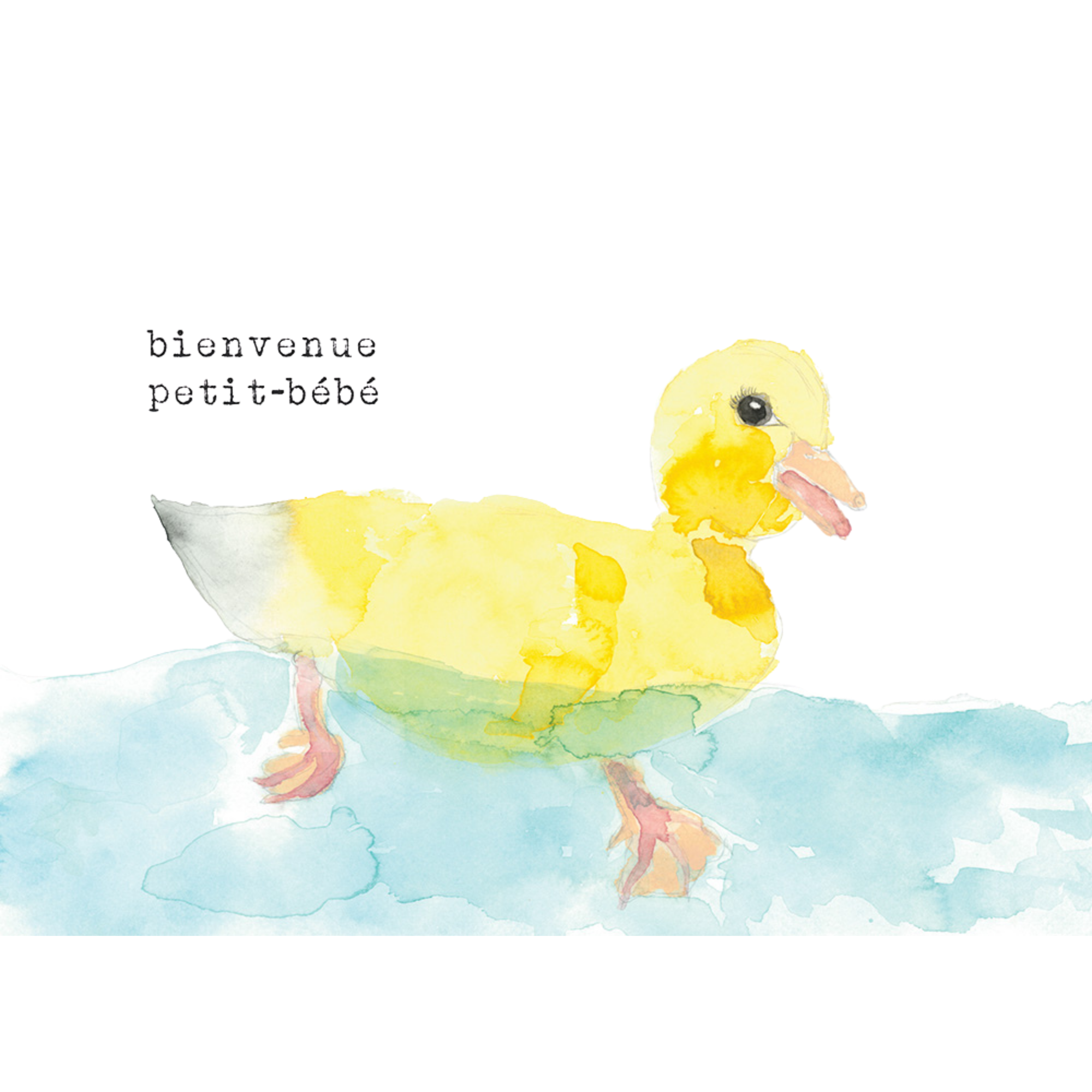 STEPHANIE RENIERE Charlie Card - Bienvenue Petit Bébé (FR)
