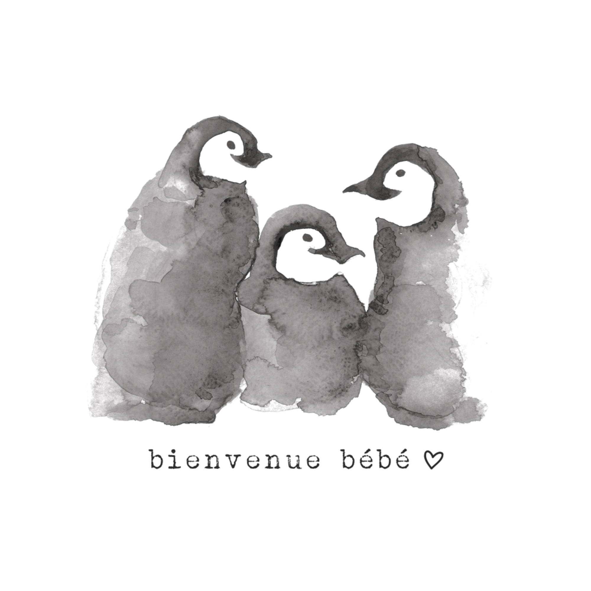 STEPHANIE RENIERE Carte Marius - Bienvenue Bébé (FR)