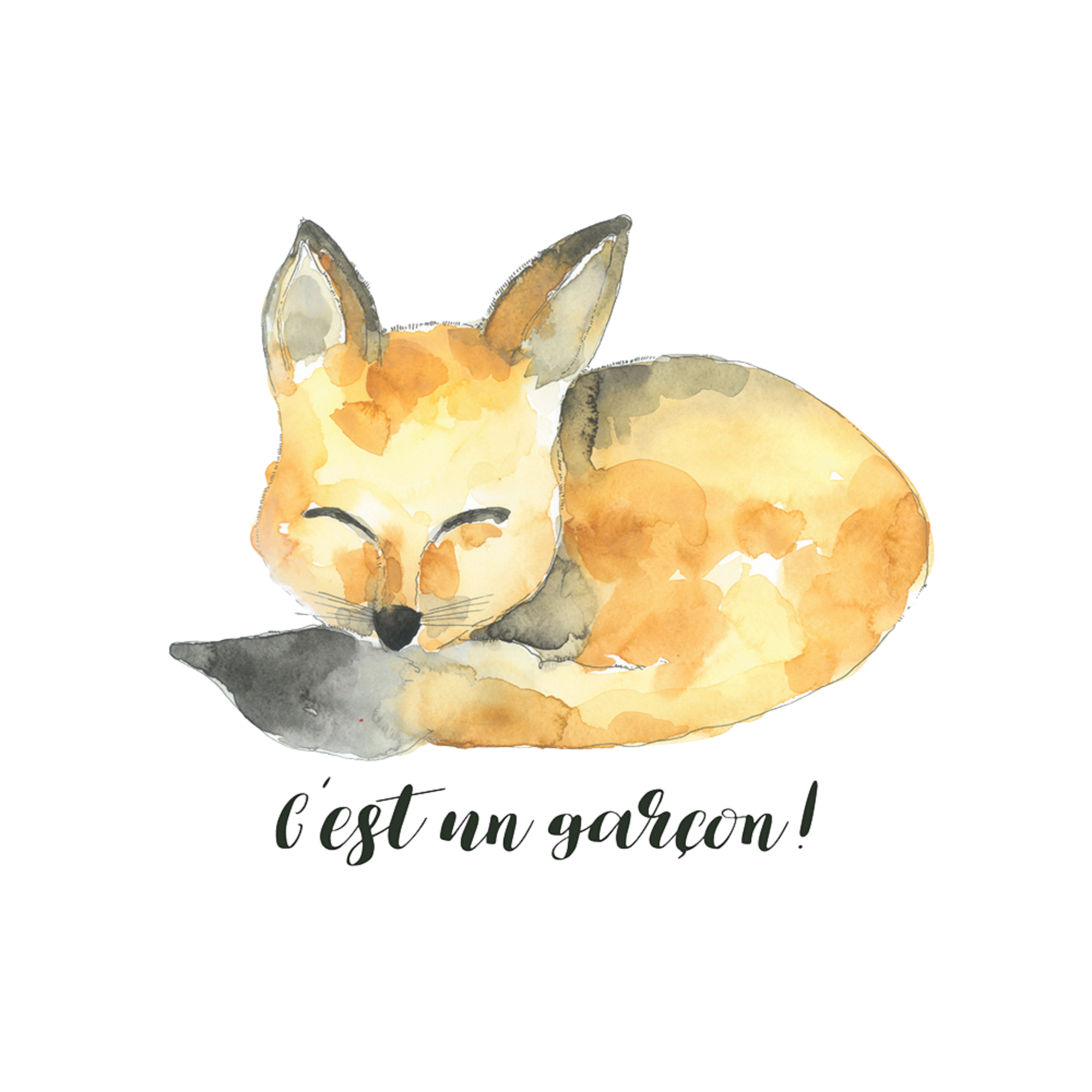 STEPHANIE RENIERE Renaud Card - C'est un Garçon (FR)