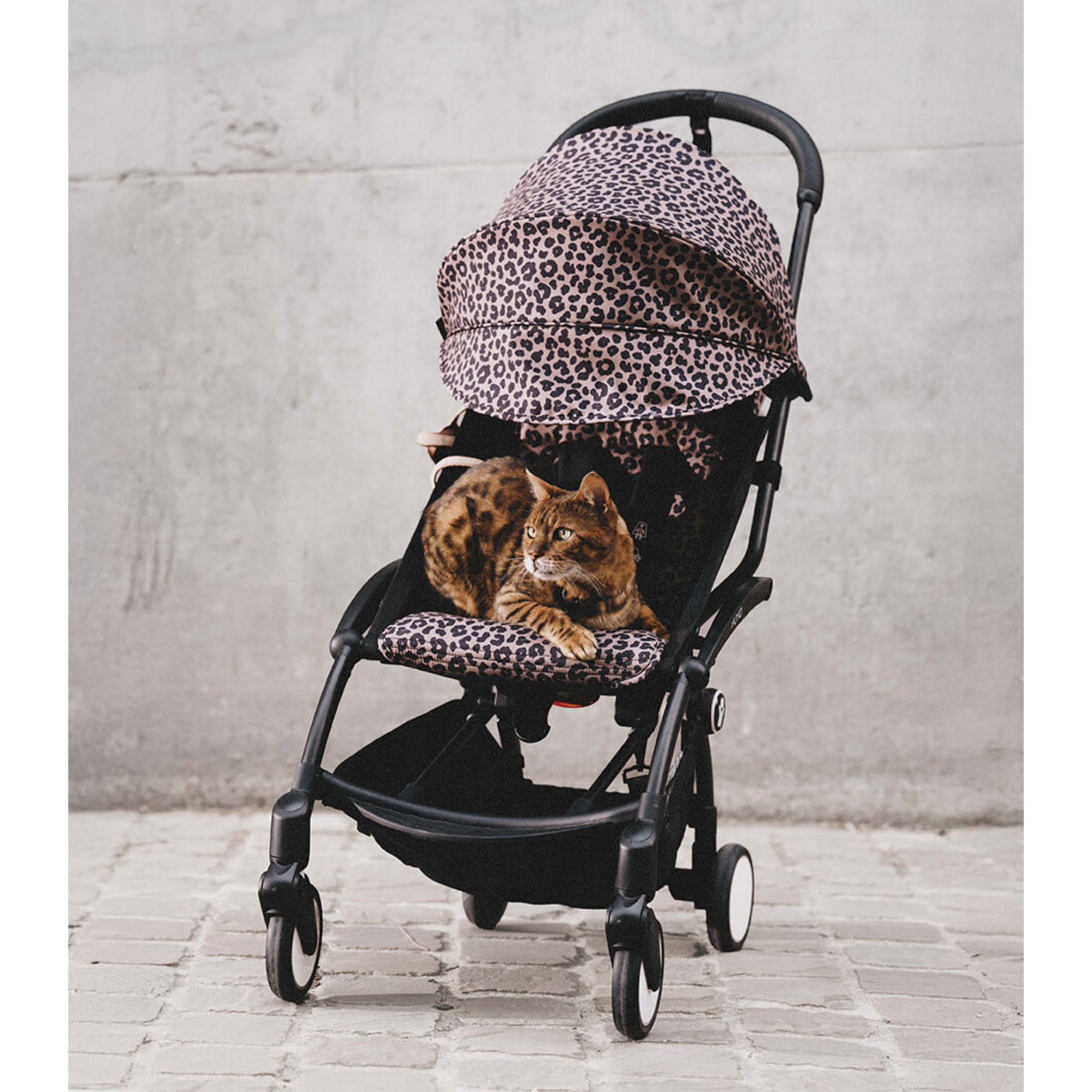 STOKKE YOYO³ Complete Stroller