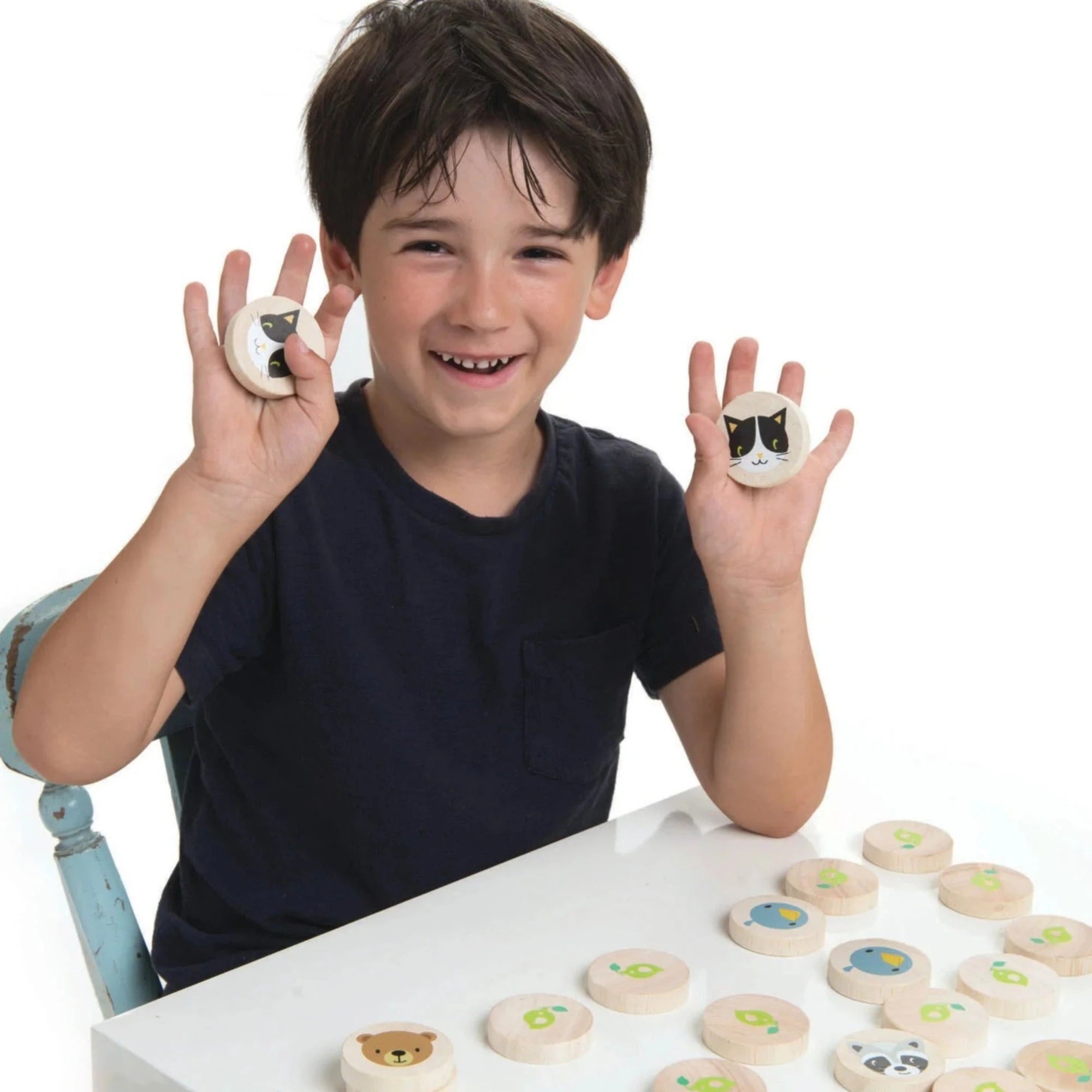 TENDER LEAF Clever Cat Memory Game