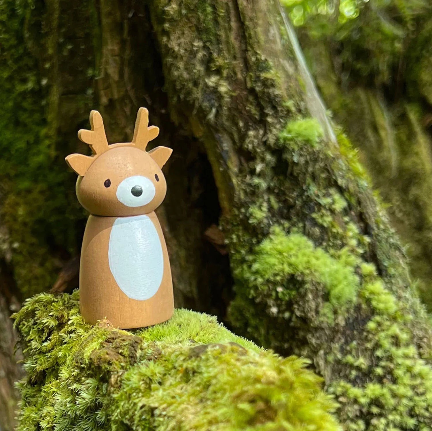 TENDER LEAF Timber Taxi