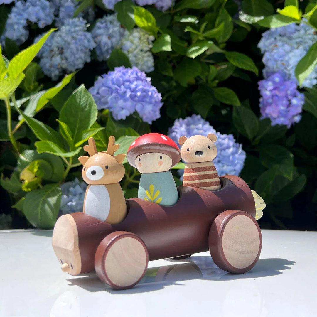 Taxi forestier TENDER LEAF