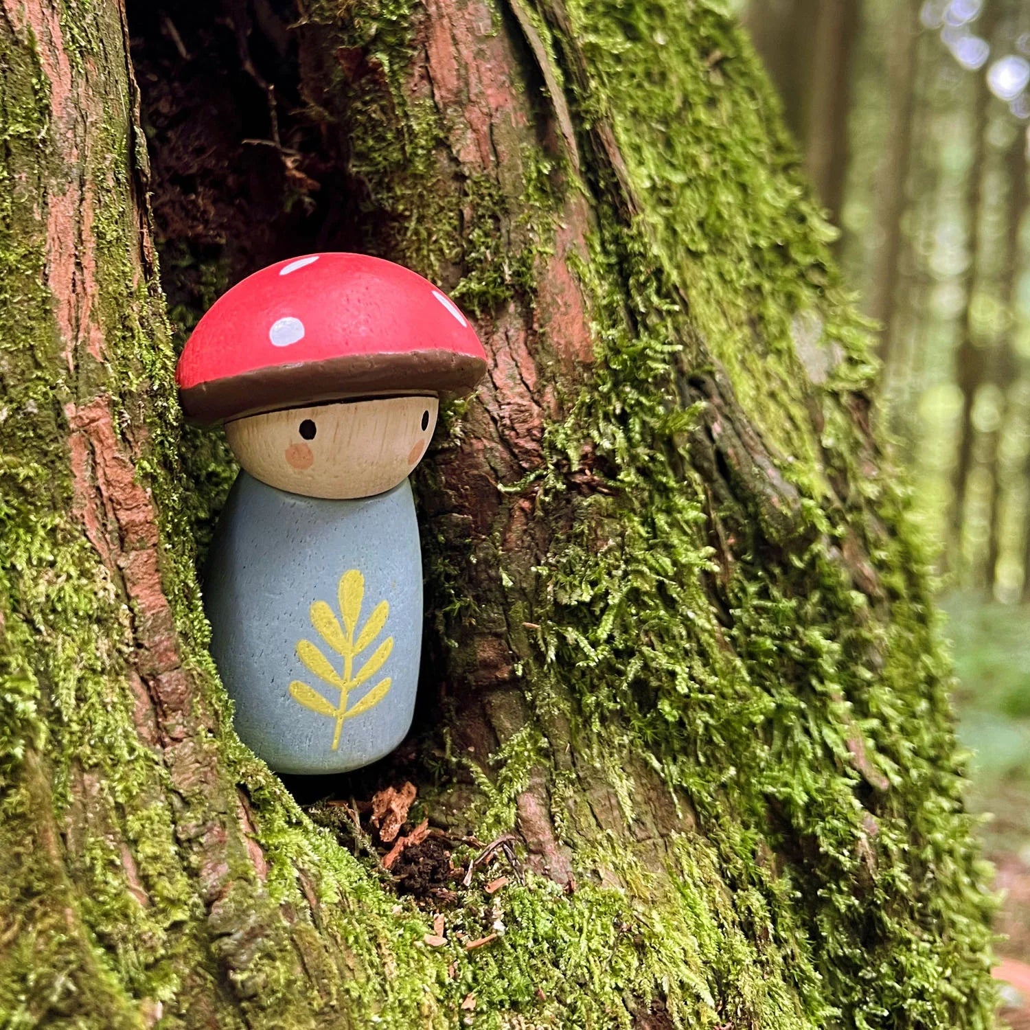 TENDER LEAF Timber Taxi