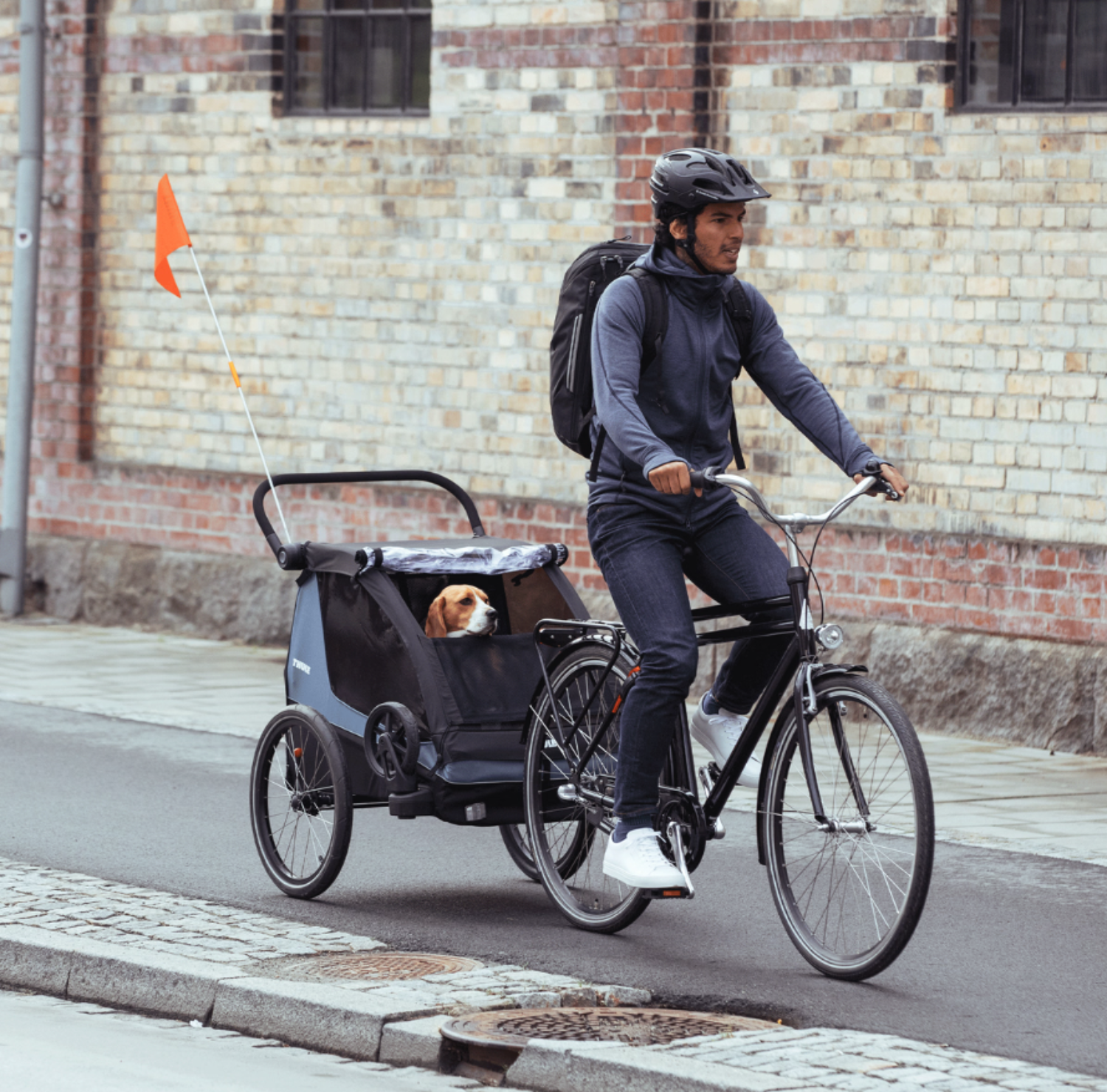 Kit de transport pour animaux de compagnie THULE Courier - Bleu Égée