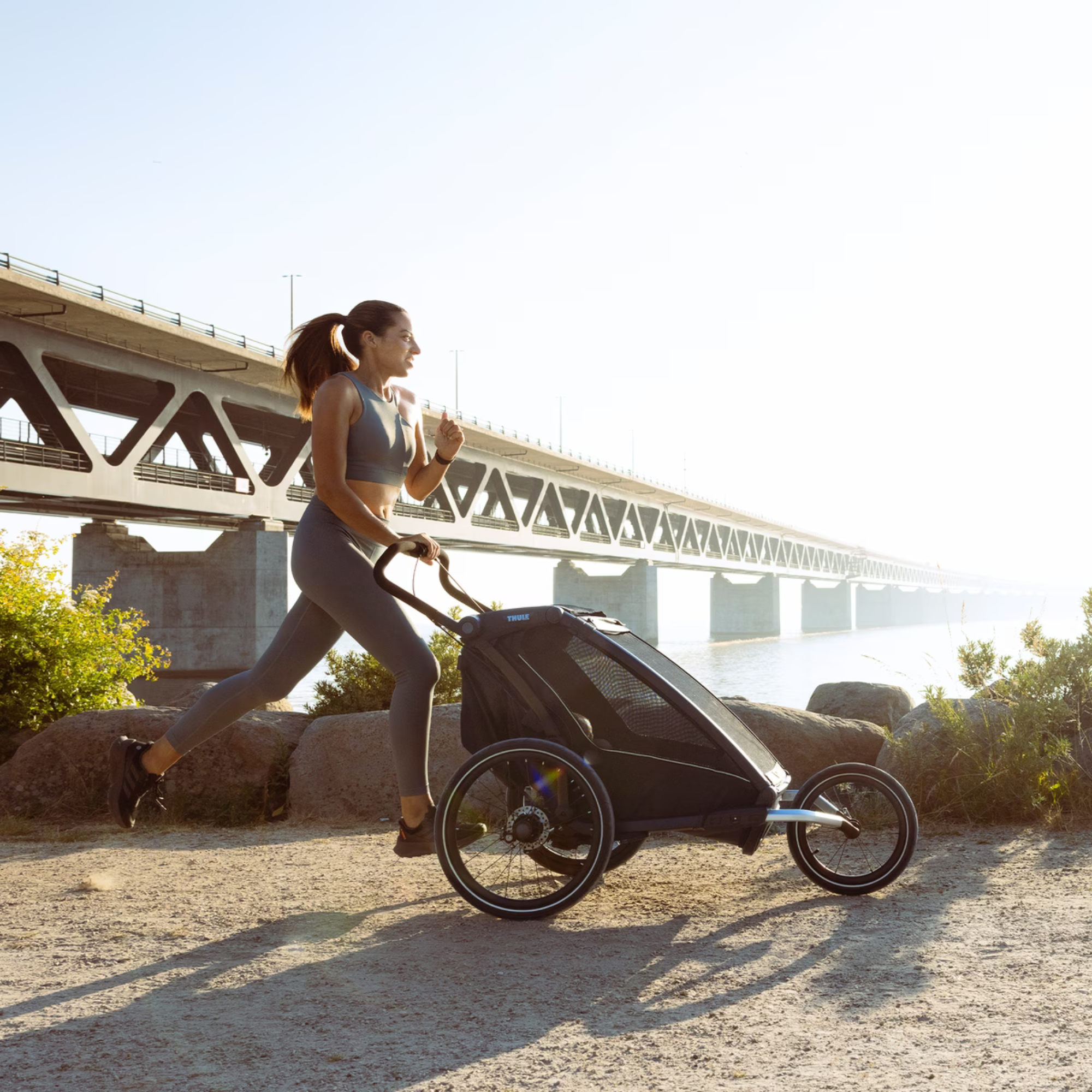 THULE Chariot Sport 2 Single - Noir