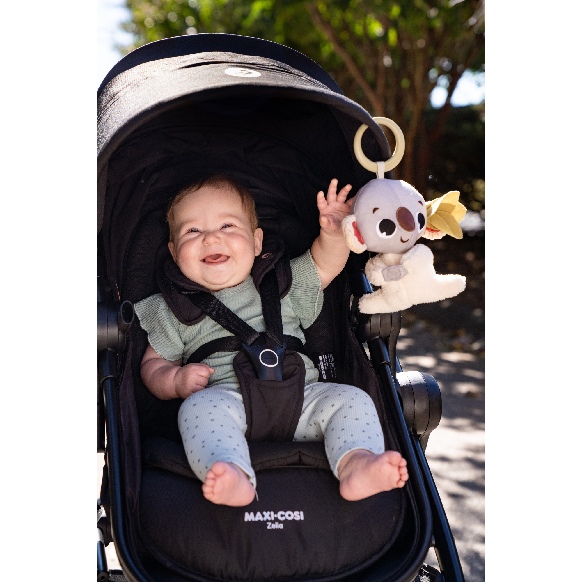 TINY LOVE Boho Chic Koala Rattle Toy