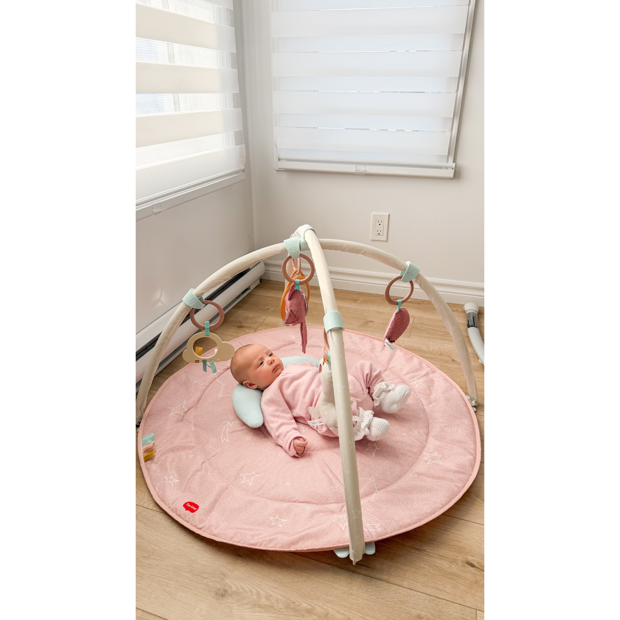 Gymini de développement TINY LOVE Unicorn Wonderlands