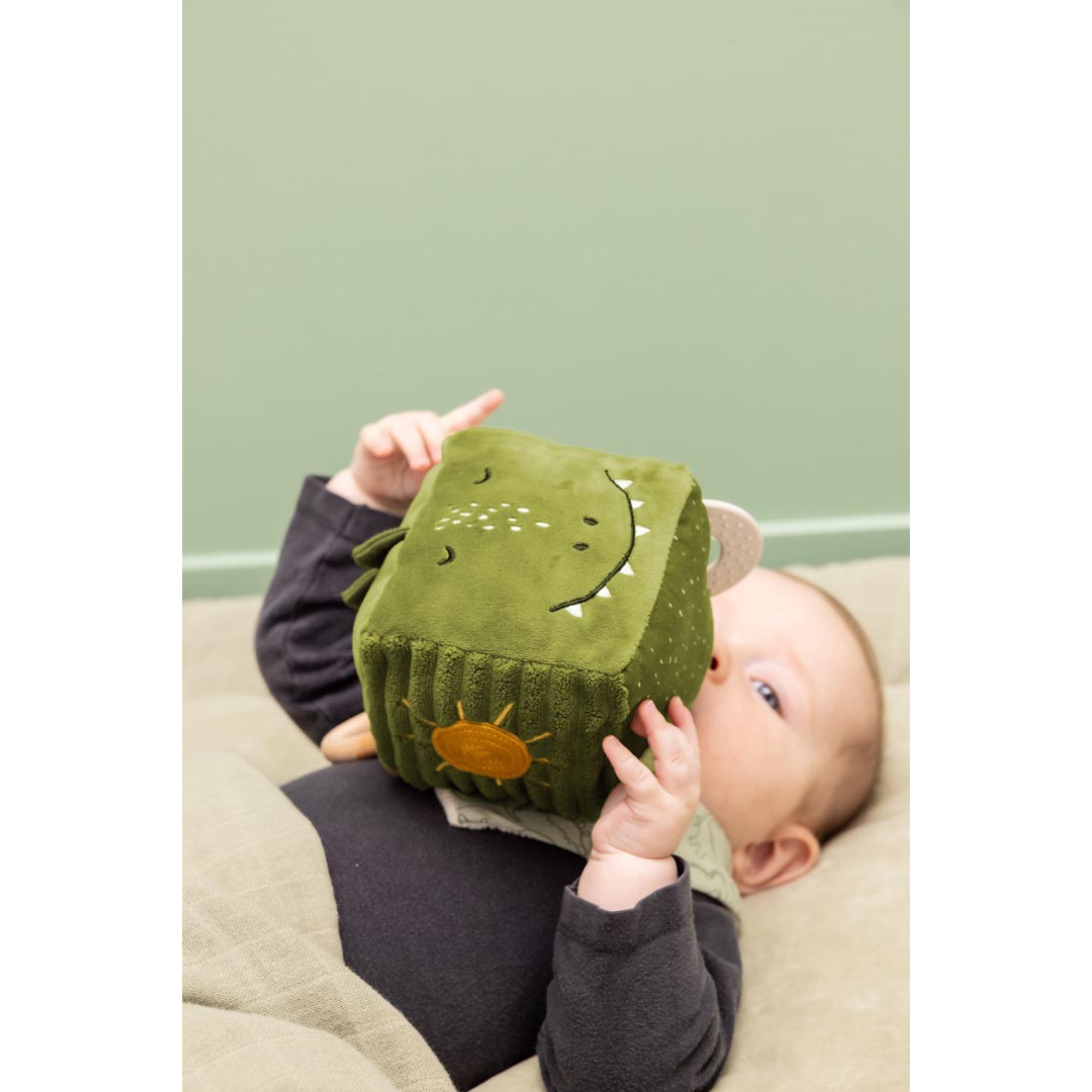 TRIXIE Activity Cube