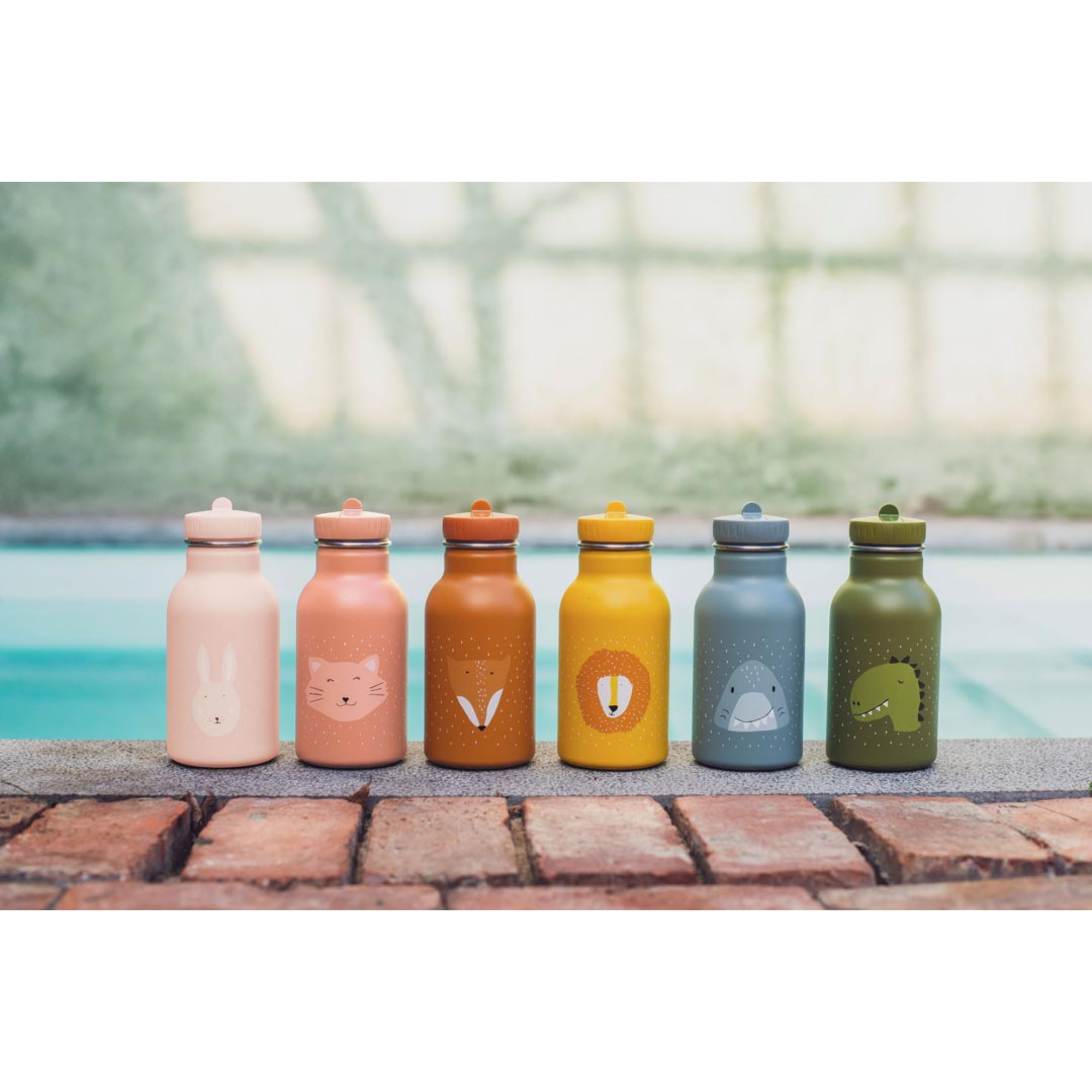 TRIXIE Bottle 350ml