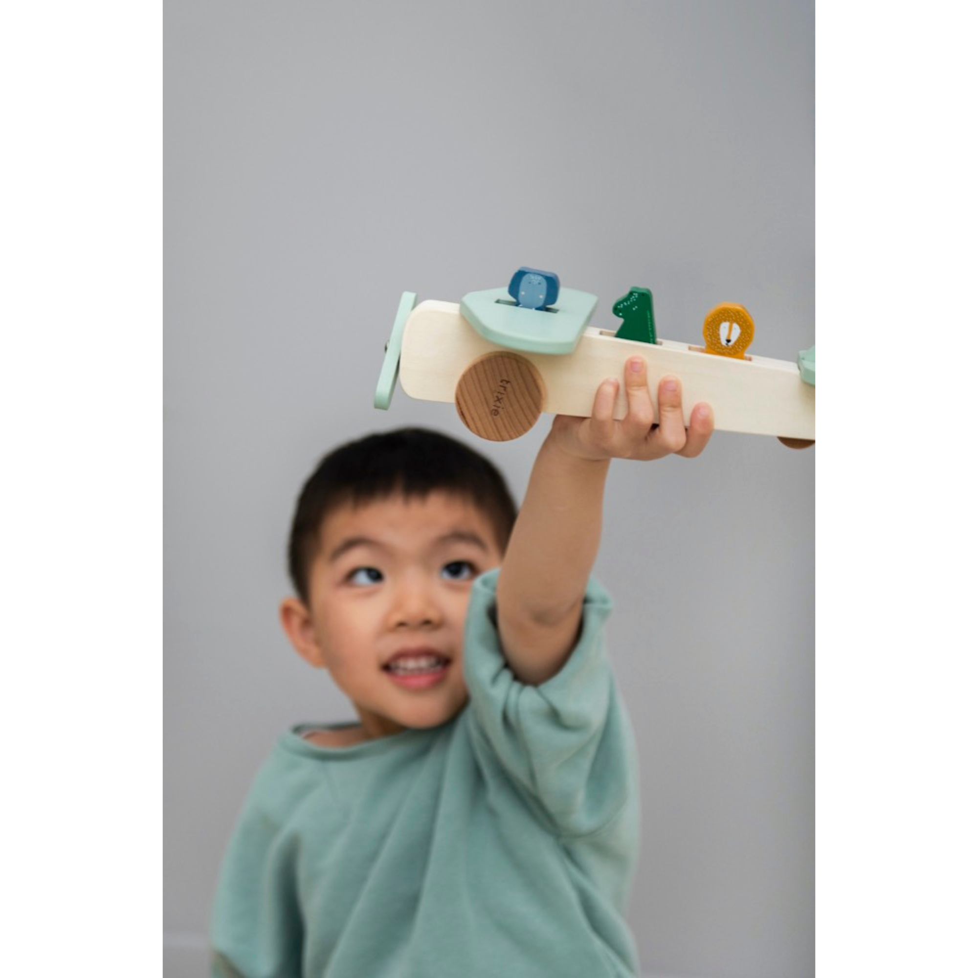 TRIXIE Wooden Animal Airplane