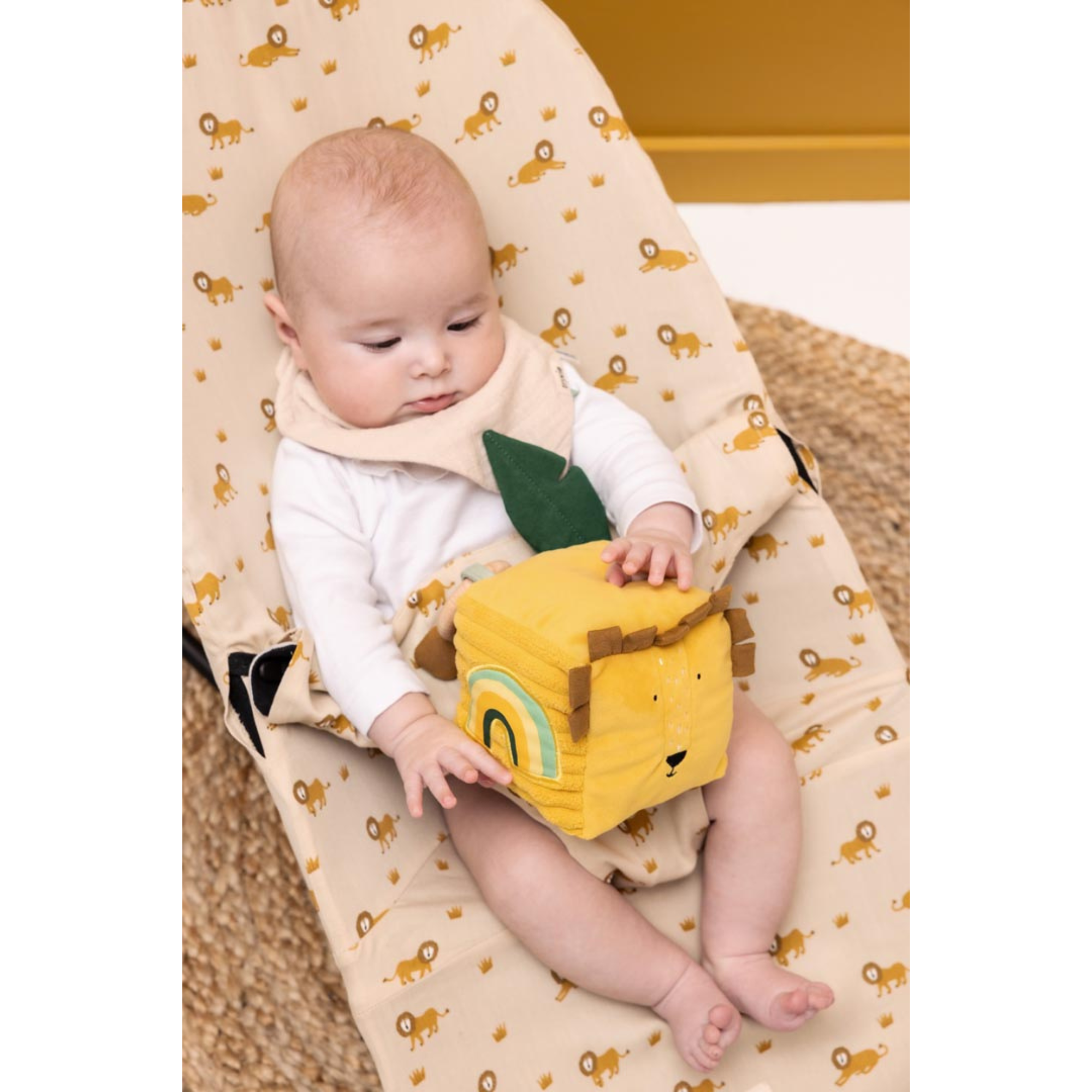 TRIXIE Activity Cube