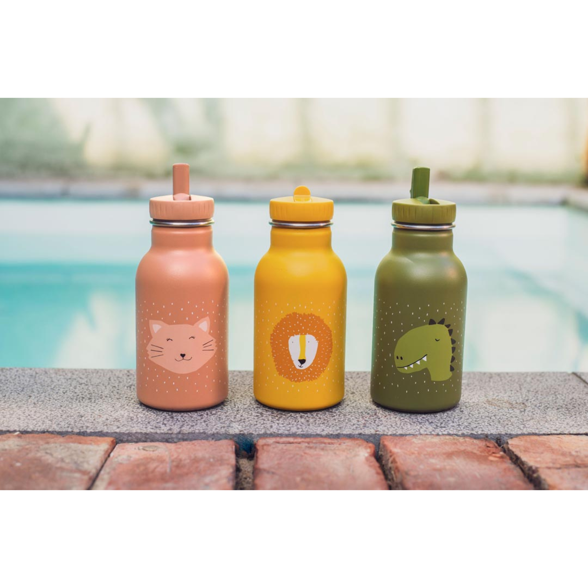 TRIXIE Bottle 350ml