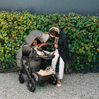 Thumbnail for UPPABABY Vista V3 Stroller