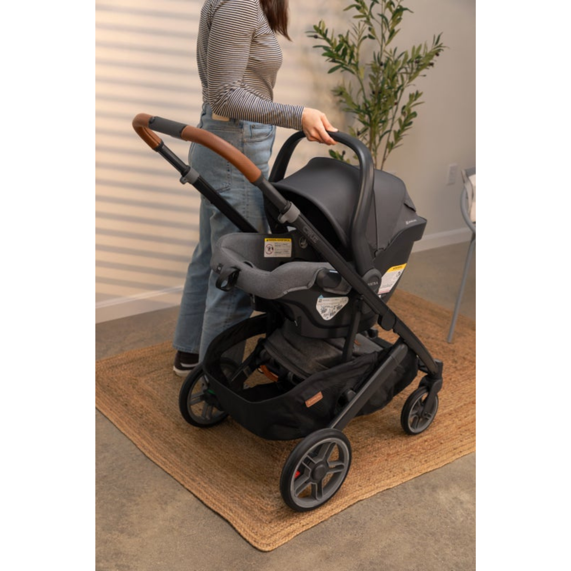 UPPABABY Mesa V3 Infant Car Seat