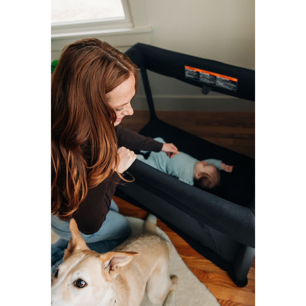 UPPABABY Remi V2 Playard