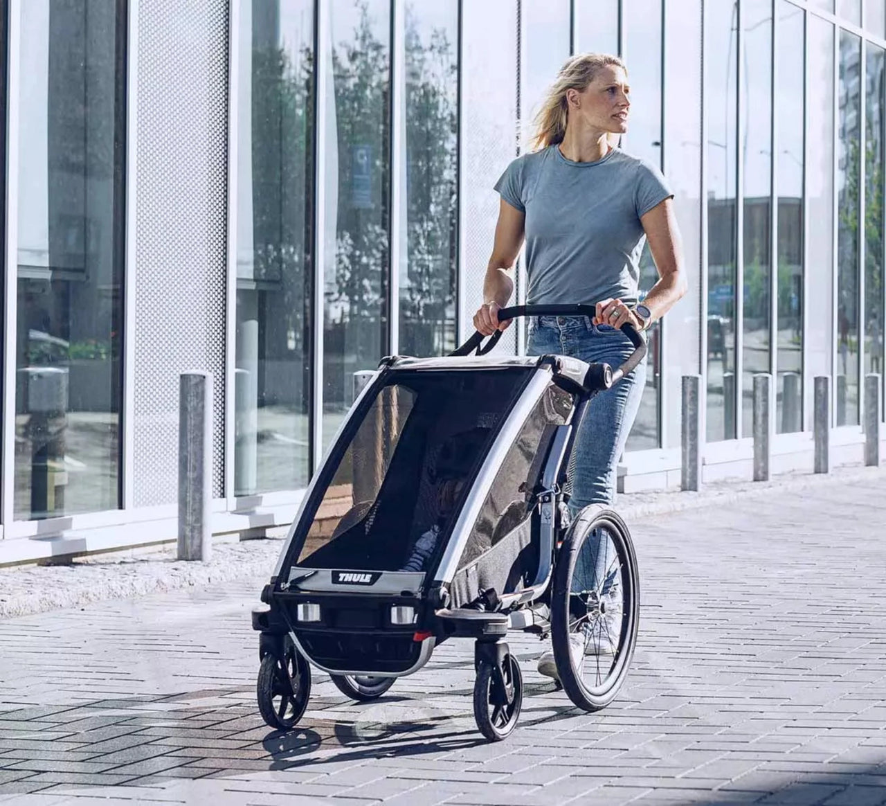 Thule top chariot multisport