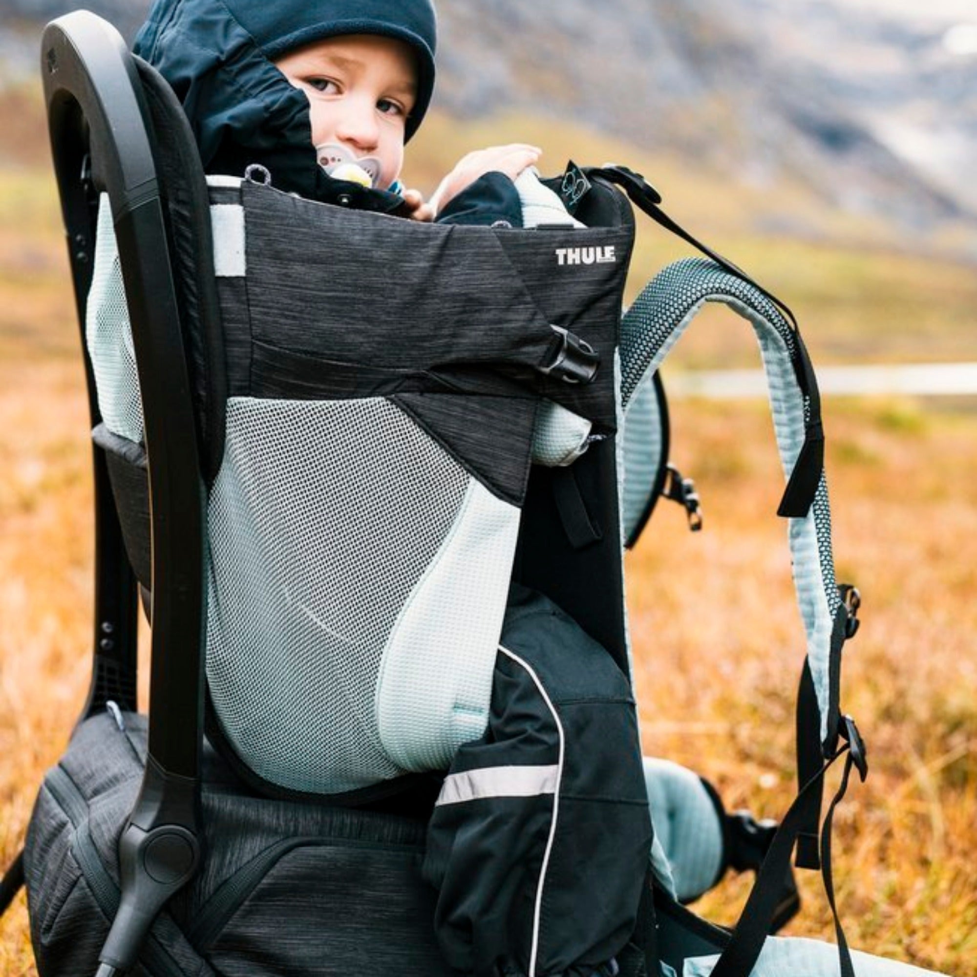 THULE Sapling Baby Backpack