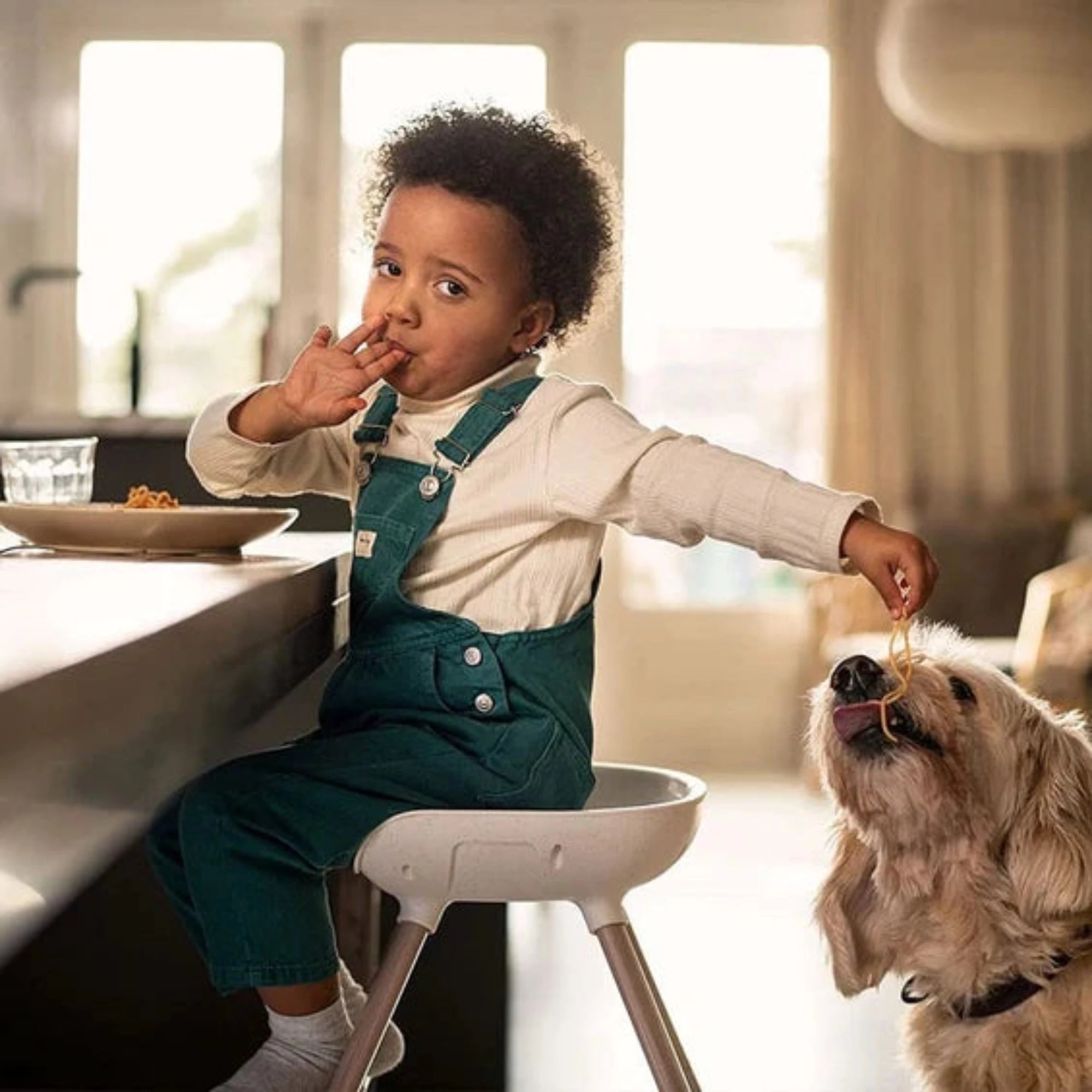 MAXI COSI Moa 8-in-1 High Chair