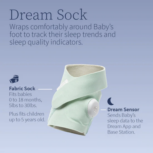OWLET Dream Sock - Mint