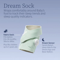Thumbnail for OWLET Dream Sock - Mint