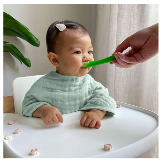 ADEN + ANAIS Organic Cotton Muslin Burpy Bib 2pk - Mother Earth