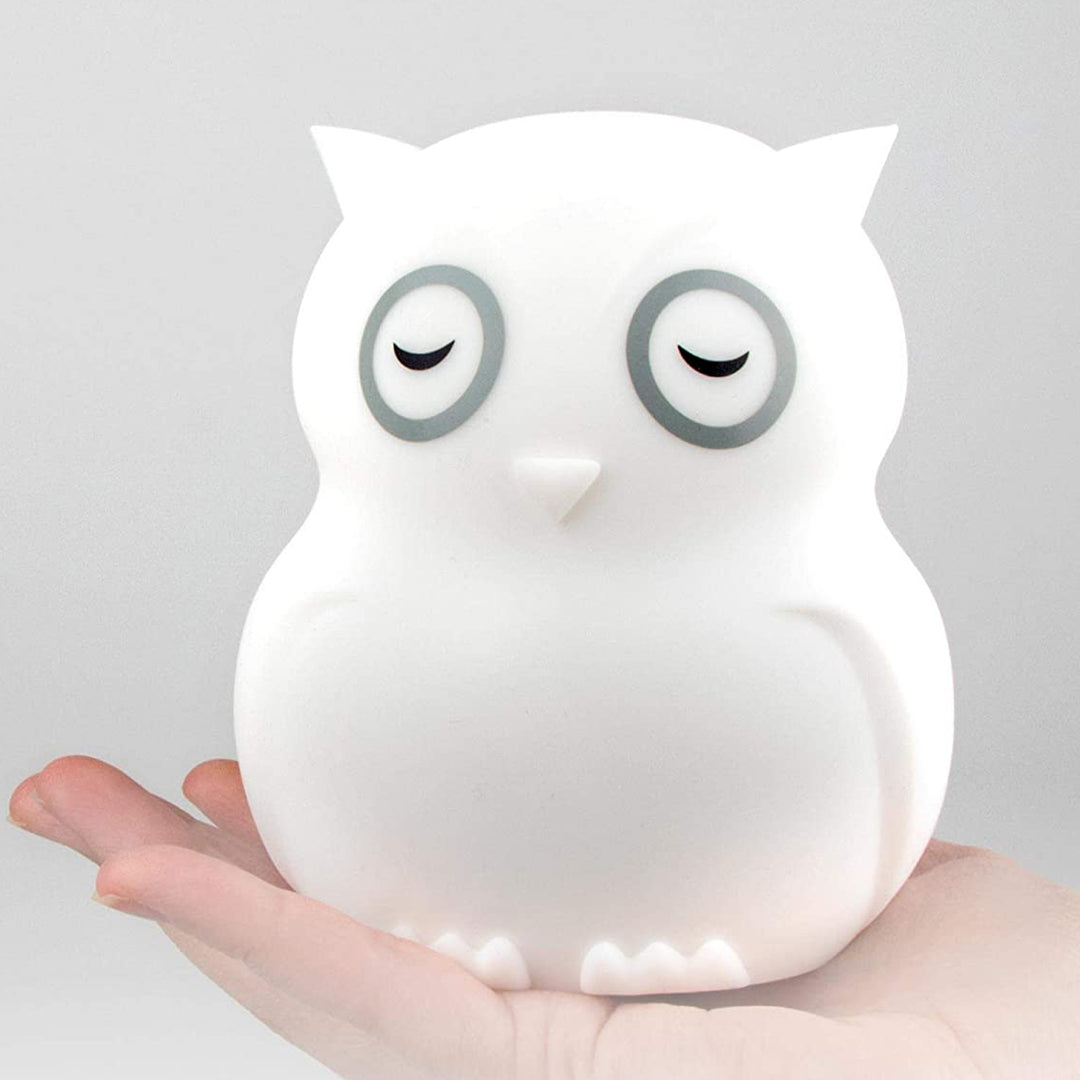 Portable Night Light 