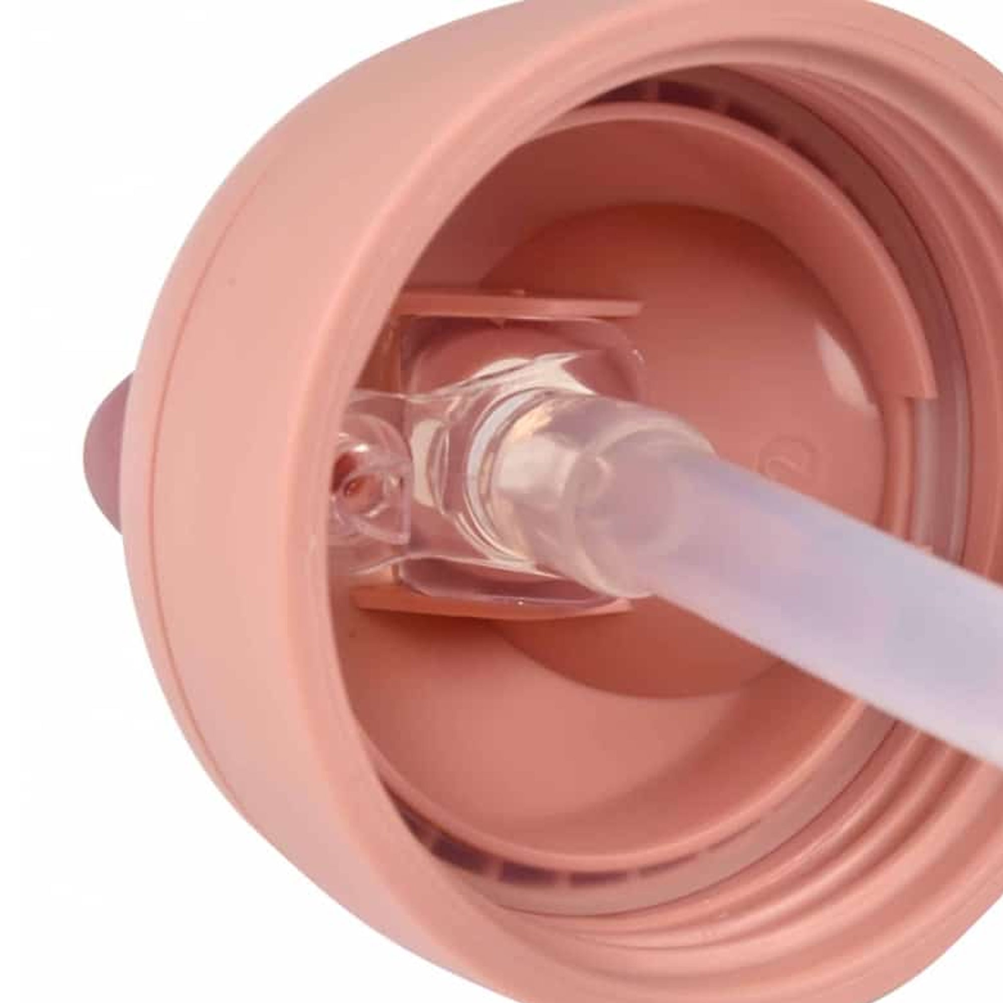BEABA Straw Sippy Cup - Rose