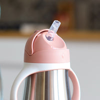 Thumbnail for BEABA Stainless Steel Straw Sippy Cup - Rose