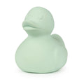OLI & CAROL Elvis the Duck