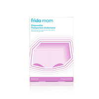 Thumbnail for FRIDA MOM Disposable Underwear Boyshort 8pk Regular