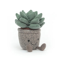 Thumbnail for JELLYCAT Silly Succulent Azulita