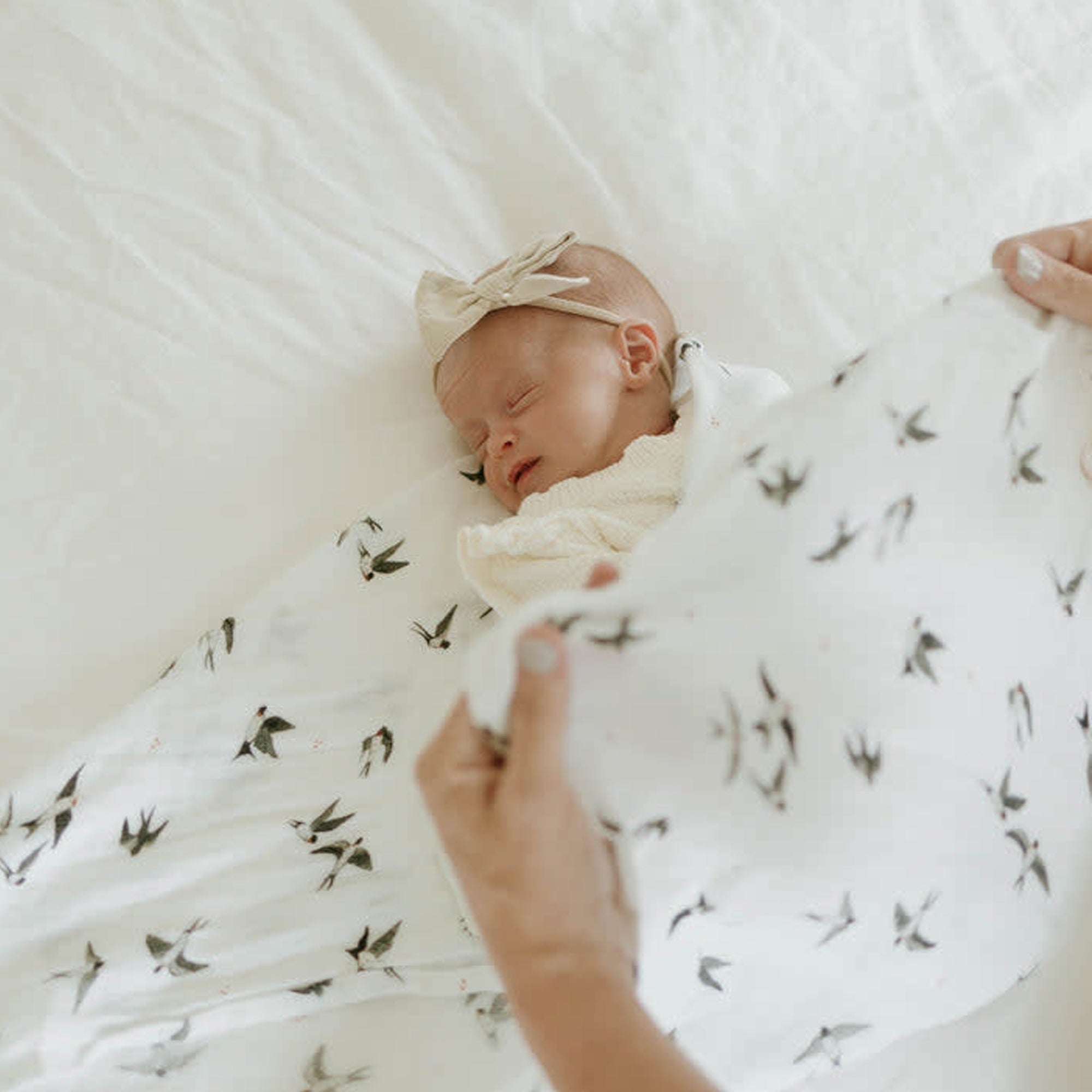 LITTLE UNICORN Organic Cotton Muslin Swaddle Single - Swallows