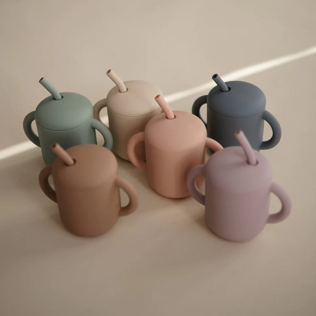 MUSHIE Silicone Training Cup + Straw - Blush